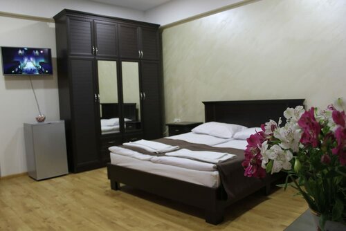 Стандартный двухместный номер с 1 двуспальной кроватью в Best View