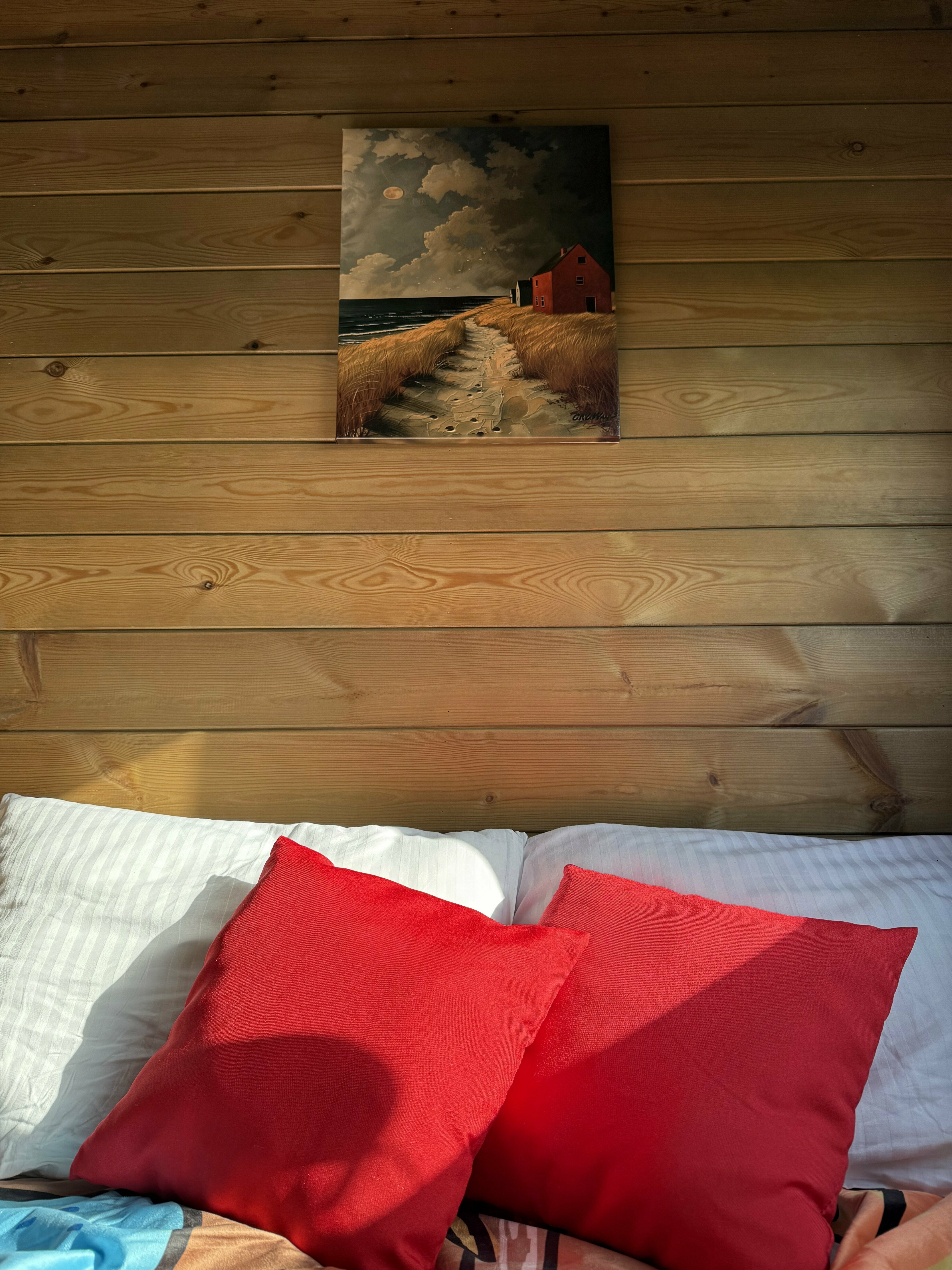 Липовый свет