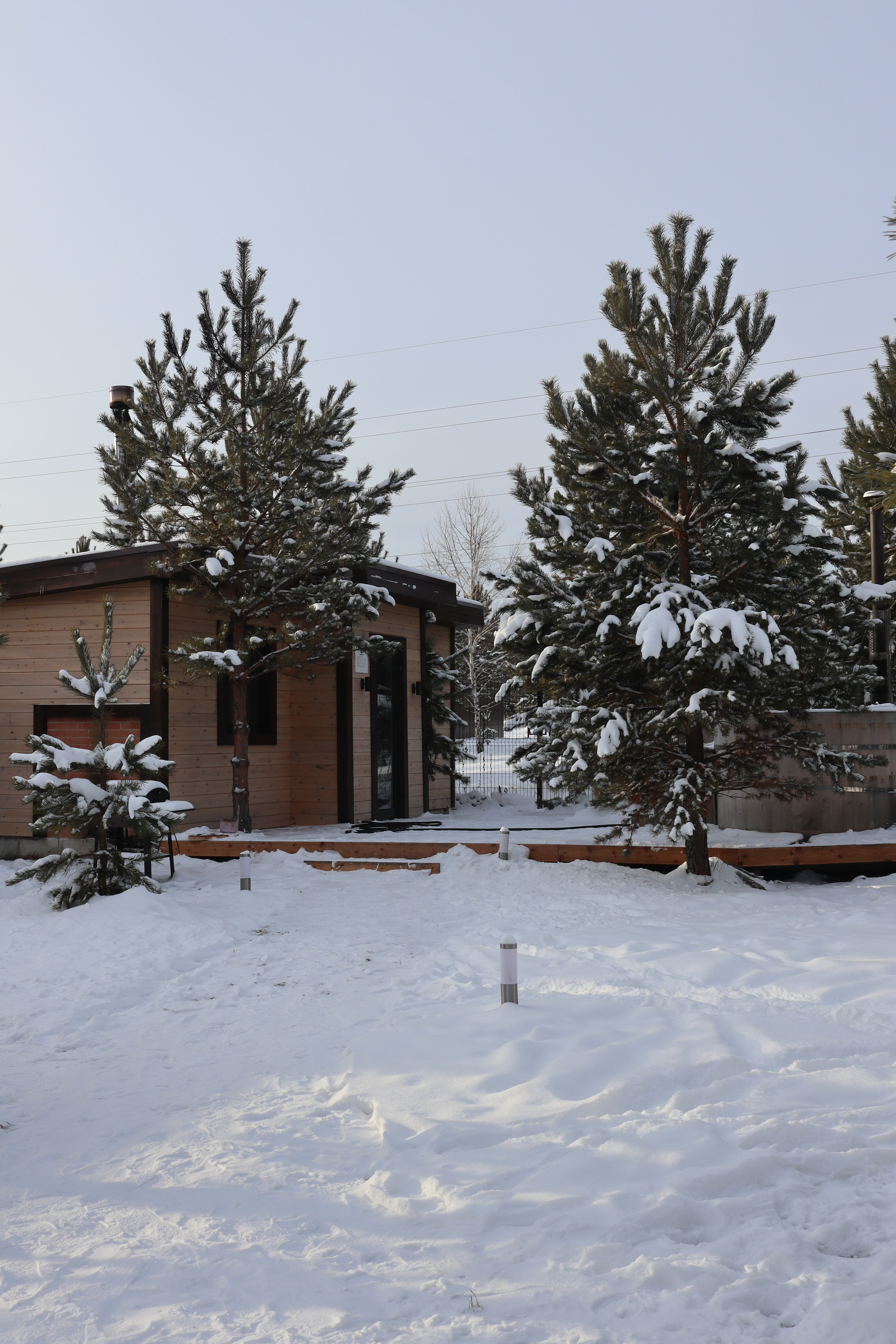 Дом с видом на лес