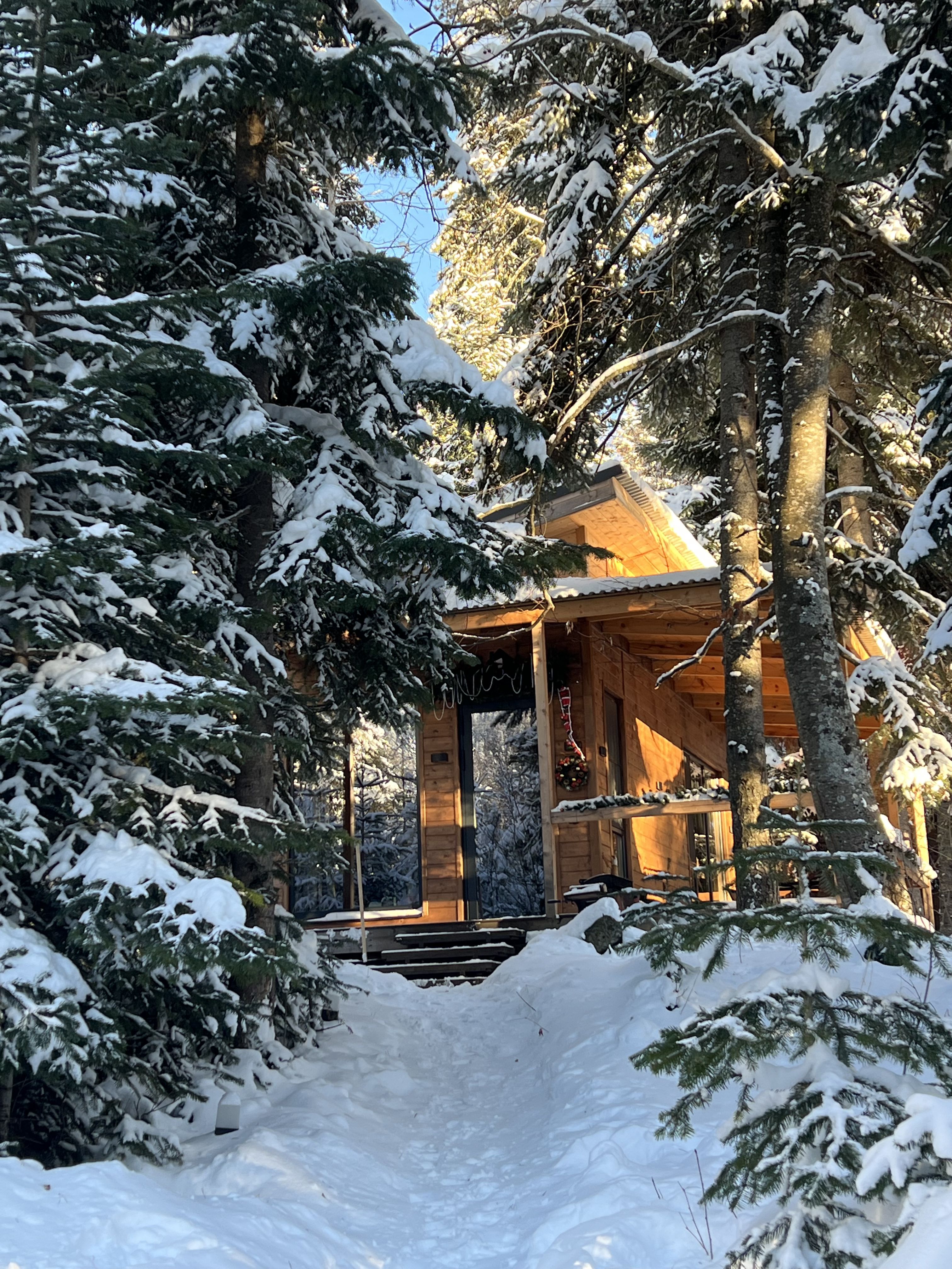 Четырёхместный люкс с террасой и мангальной зоной