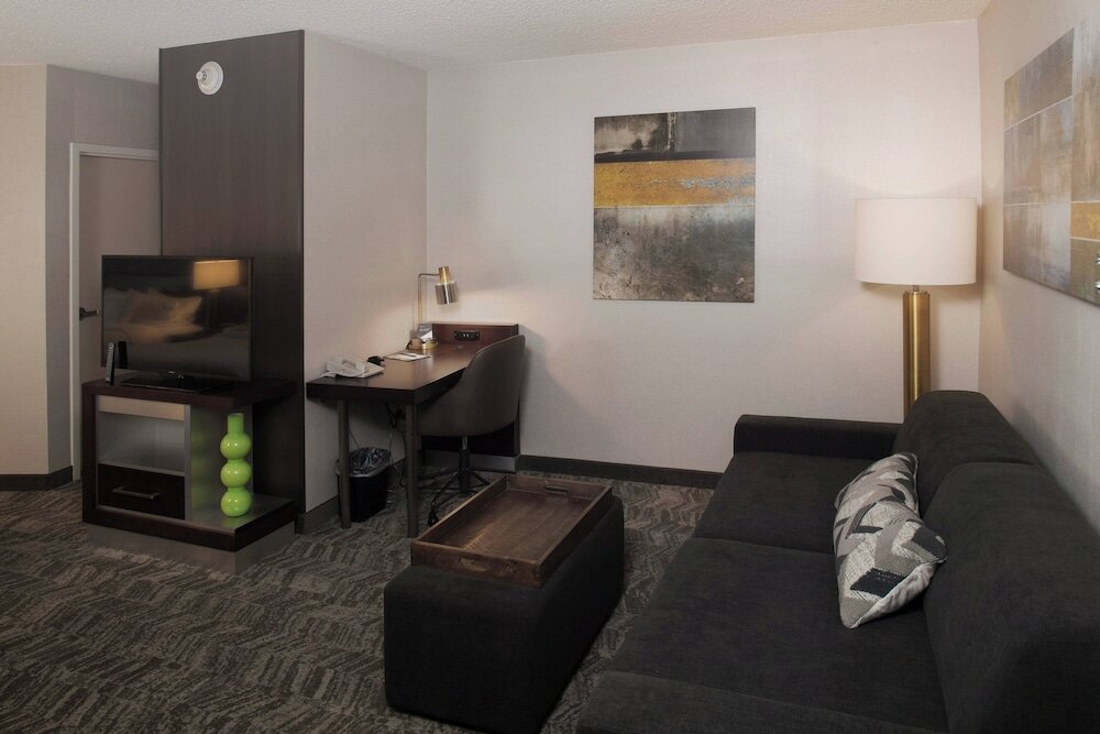 Suite, 1 King Bed with Sofa bed