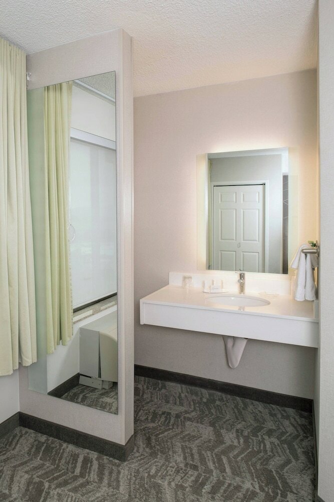 Suite, 1 King Bed with Sofa bed