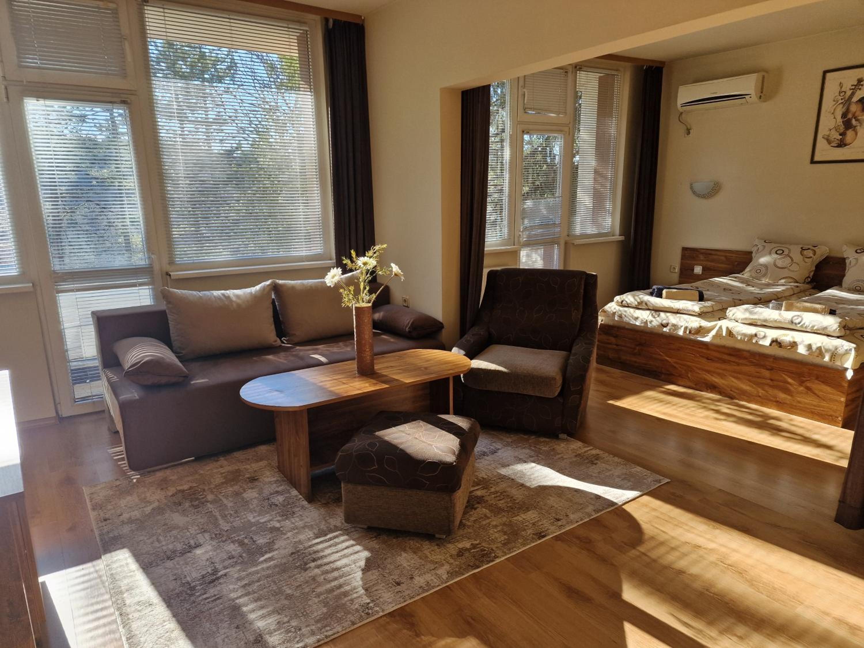 King Studio with Sofa Bed