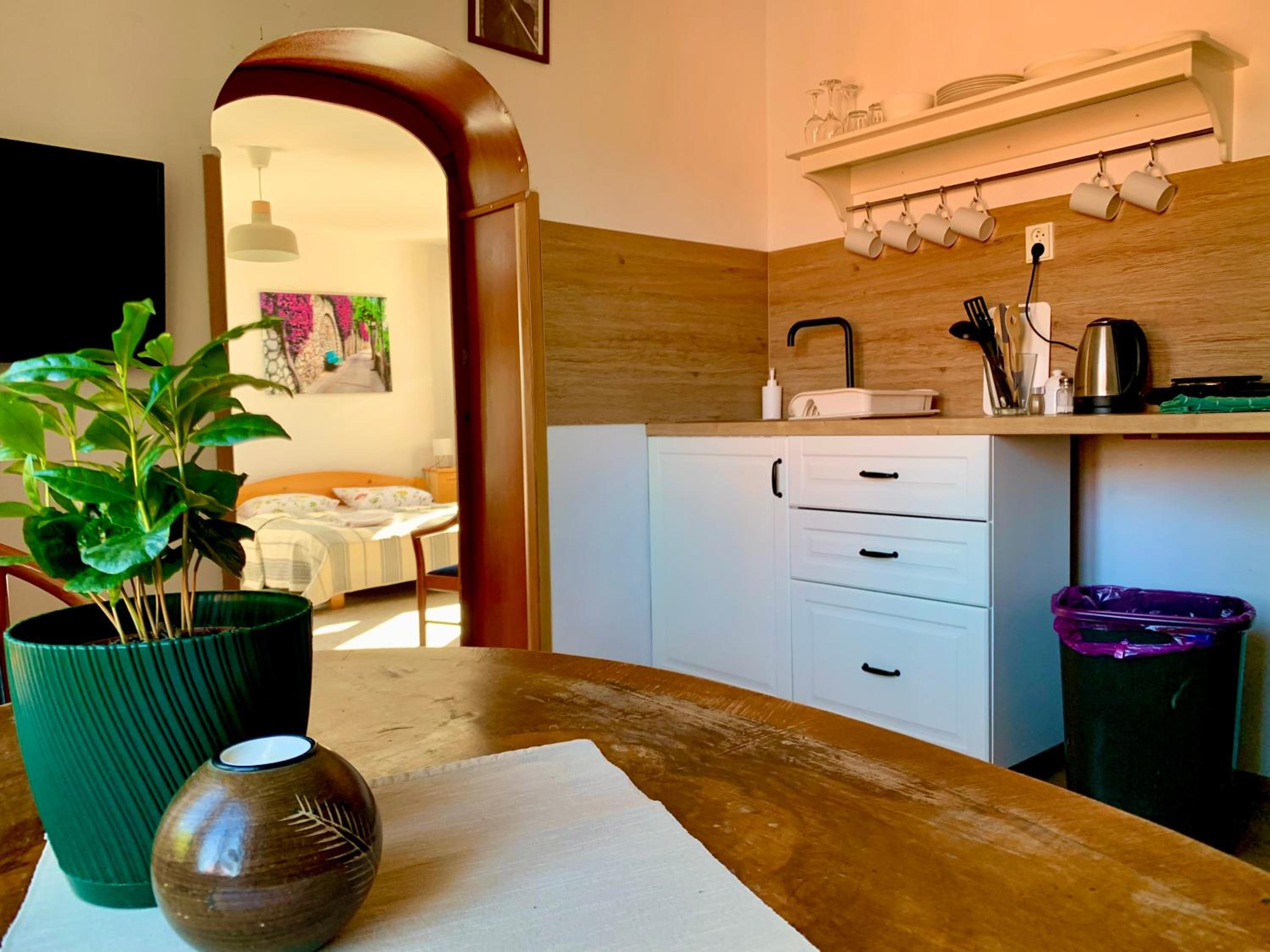 One-Bedroom Apartment