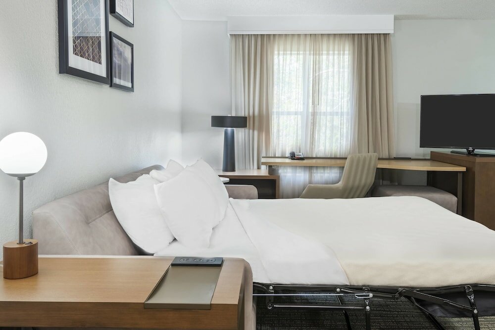Studio, 1 King Bed with Sofa bed