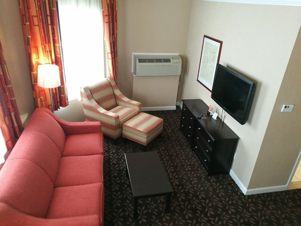 Suite, 1 King Bed with Sofa bed