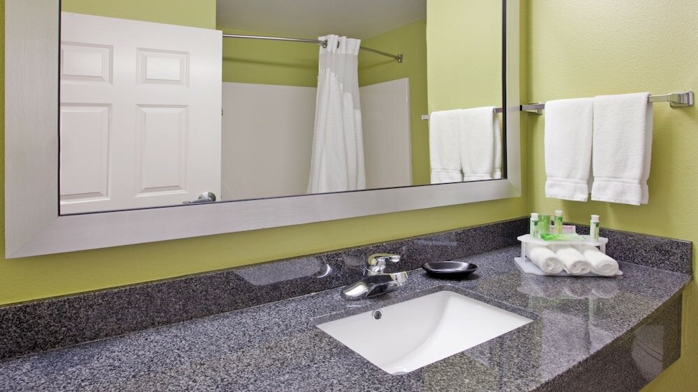 Suite, 1 King Bed with Sofa bed