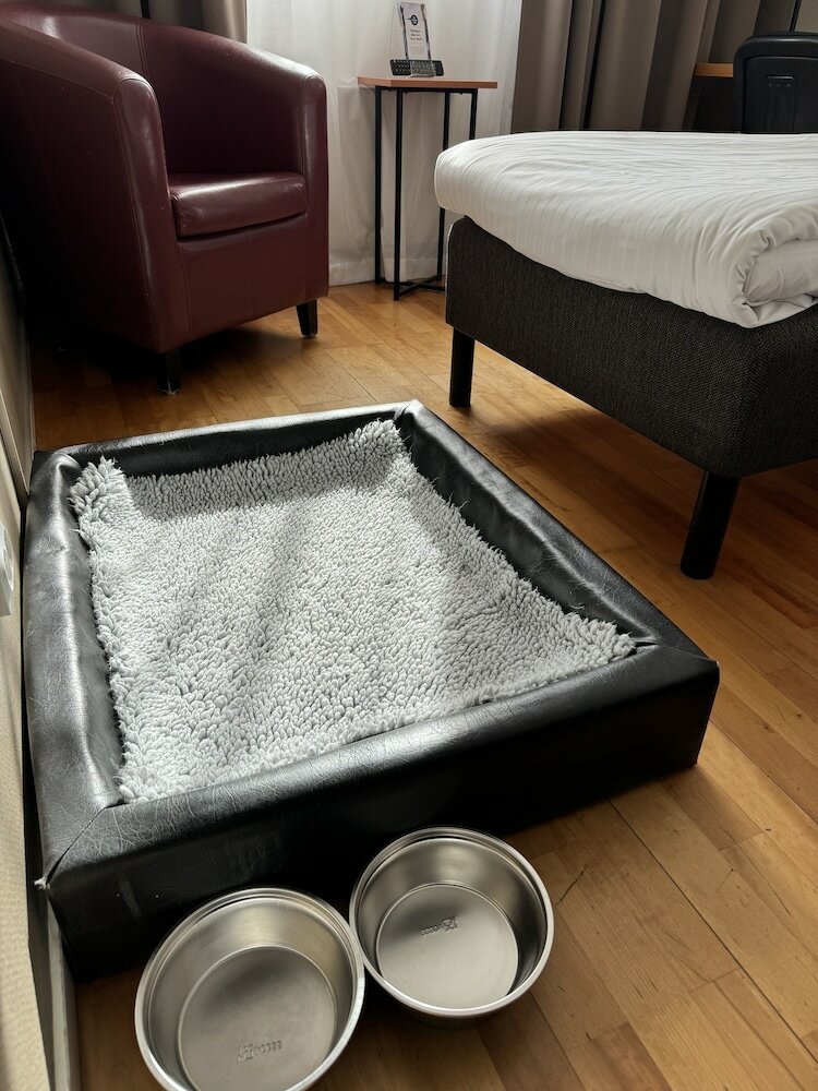 Standard Room, 2 Twin Beds, Non Smoking
