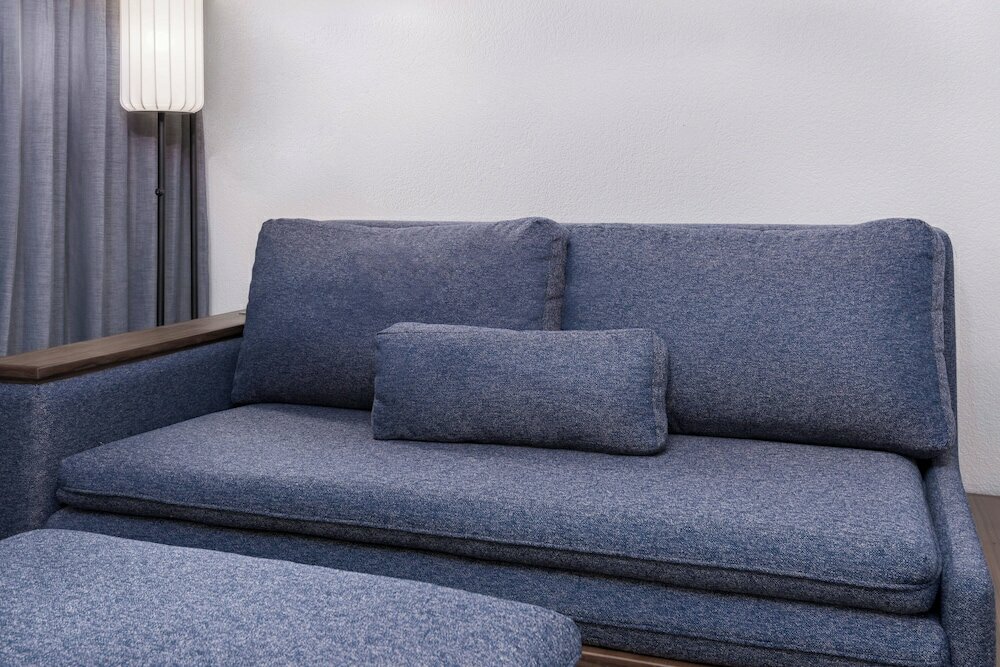 Room, 1 King Bed with Sofa bed