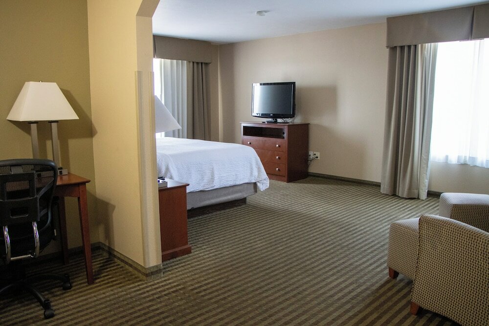 Suite, 1 King Bed