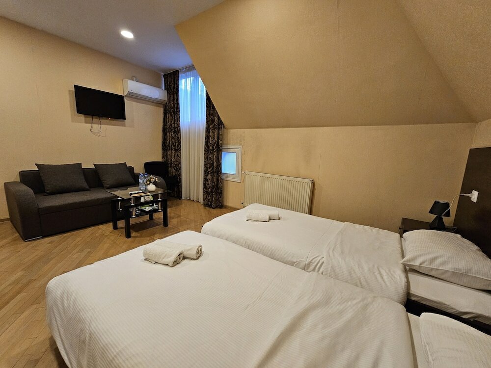 Economy Triple Room (402)