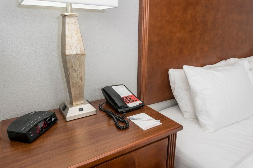 Suite, 1 King Bed with Sofa bed