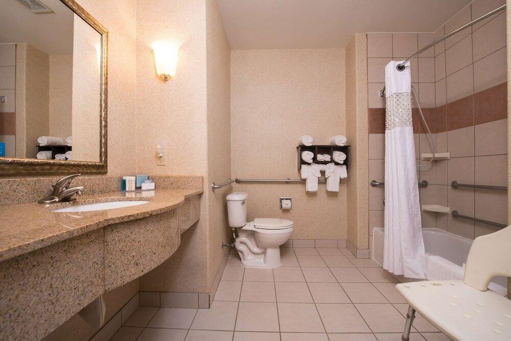 Studio, 1 King Bed, Accessible, Non Smoking (Roll-in Shower)