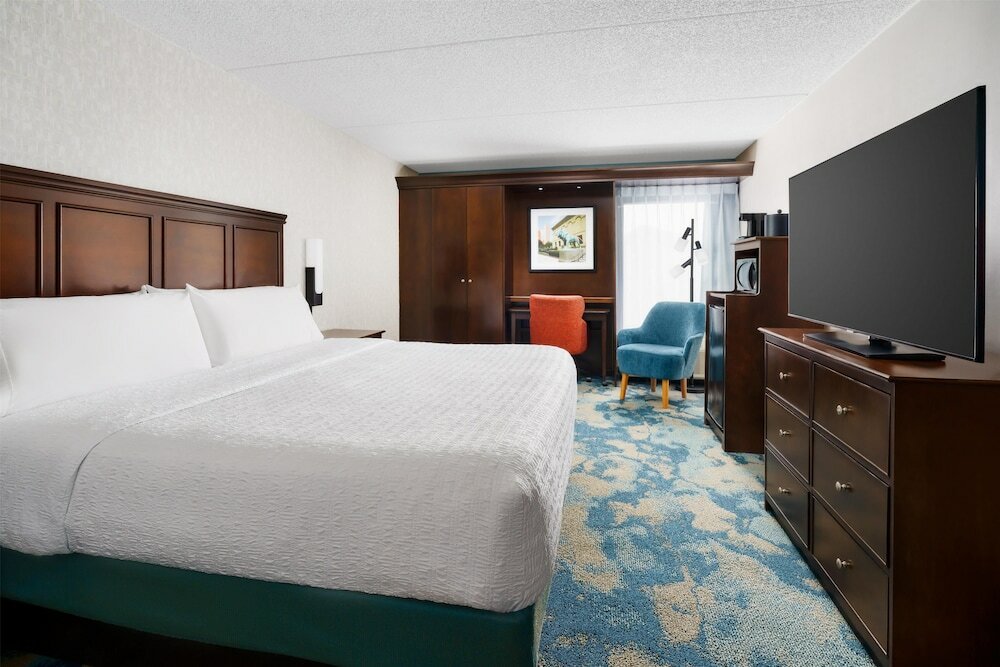 Room, 1 King Bed