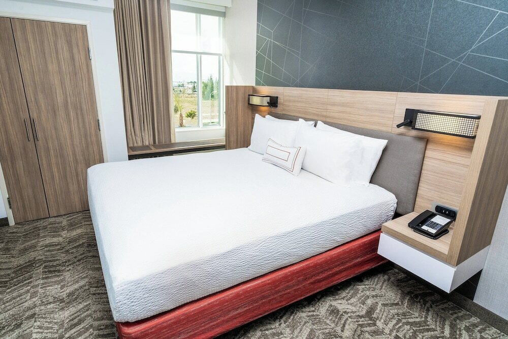 Suite, 1 King Bed with Sofa bed