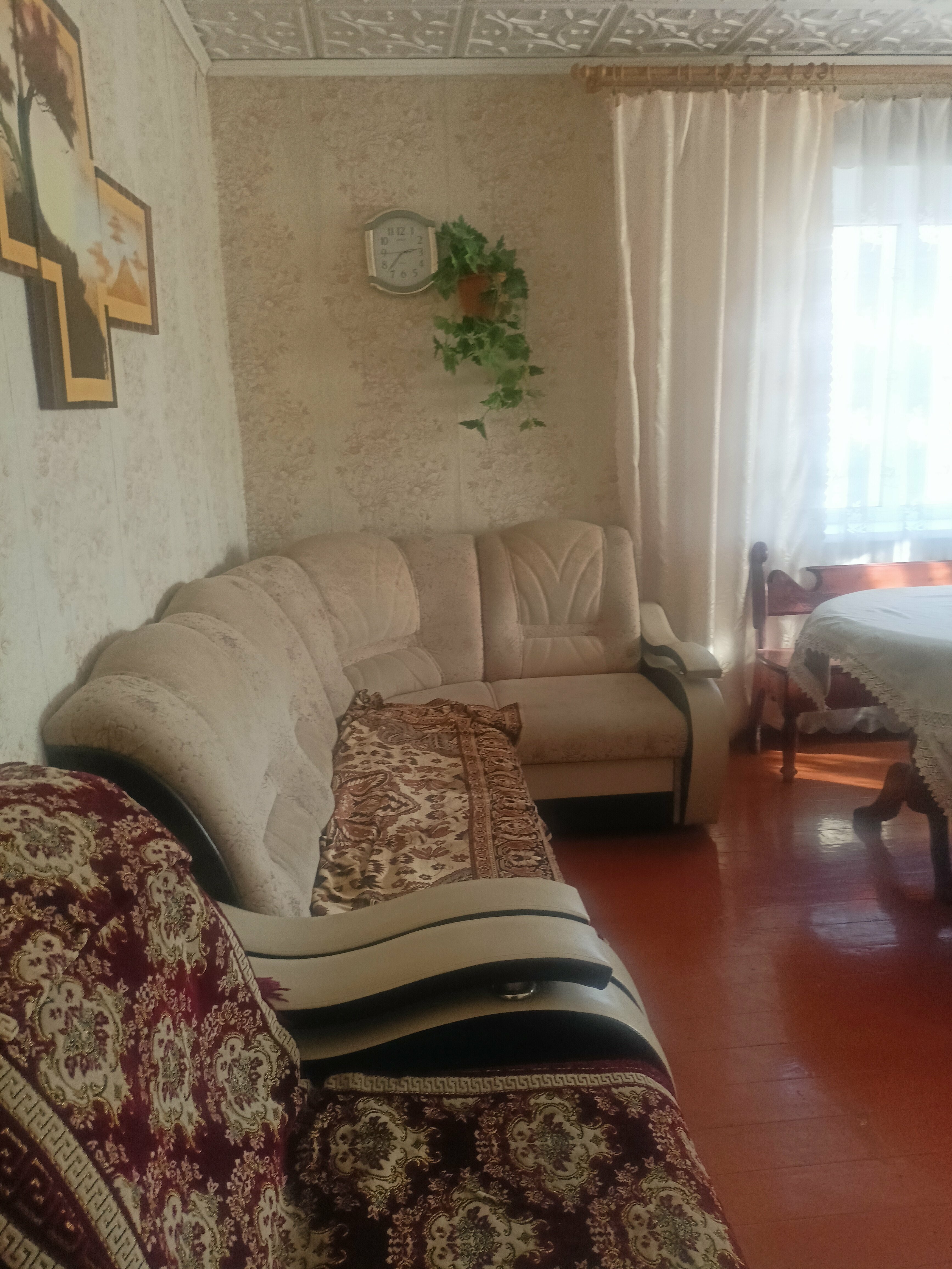 Одноместный номер с видом на сад