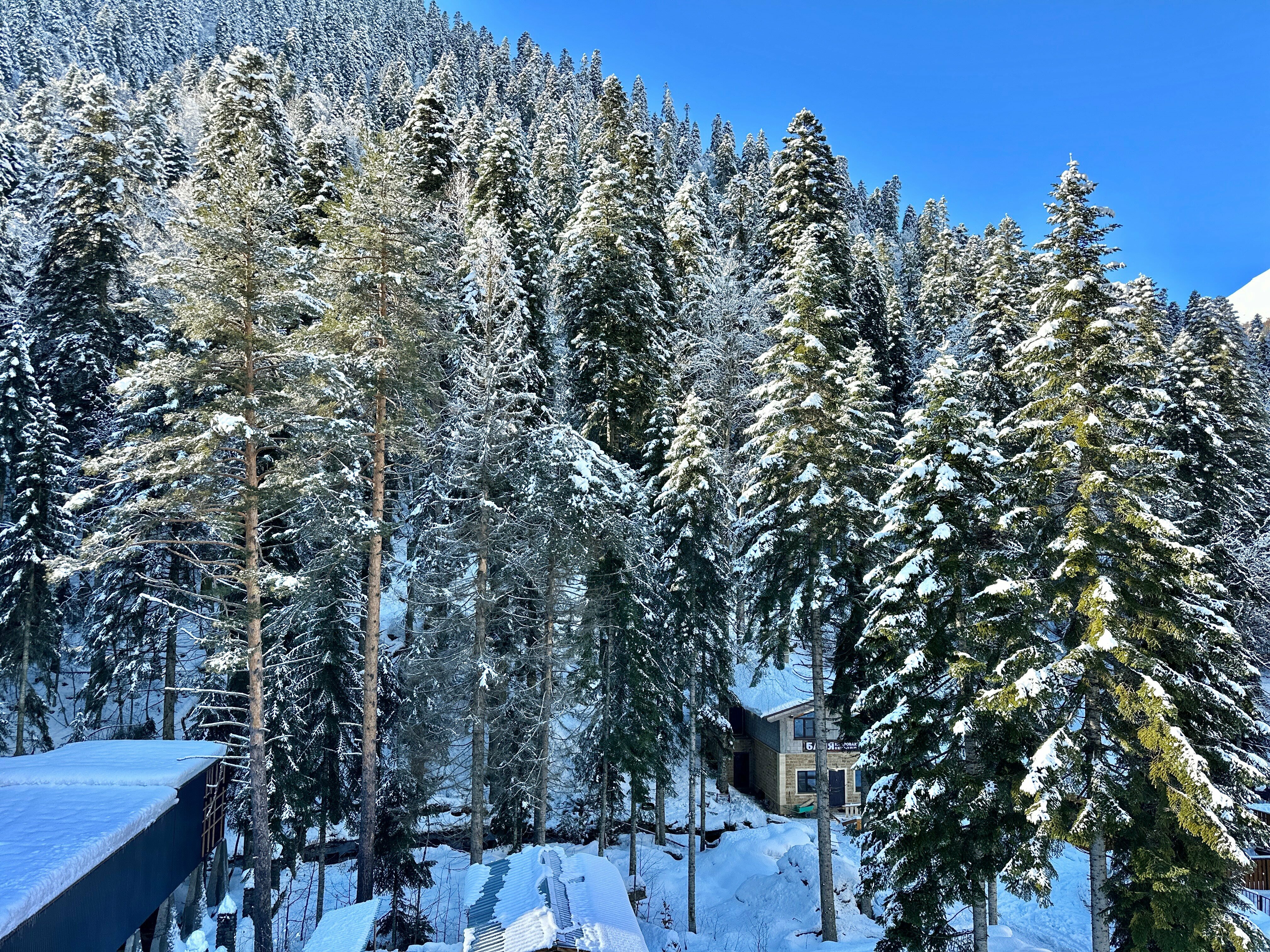 Апартаменты с 2 спальнями