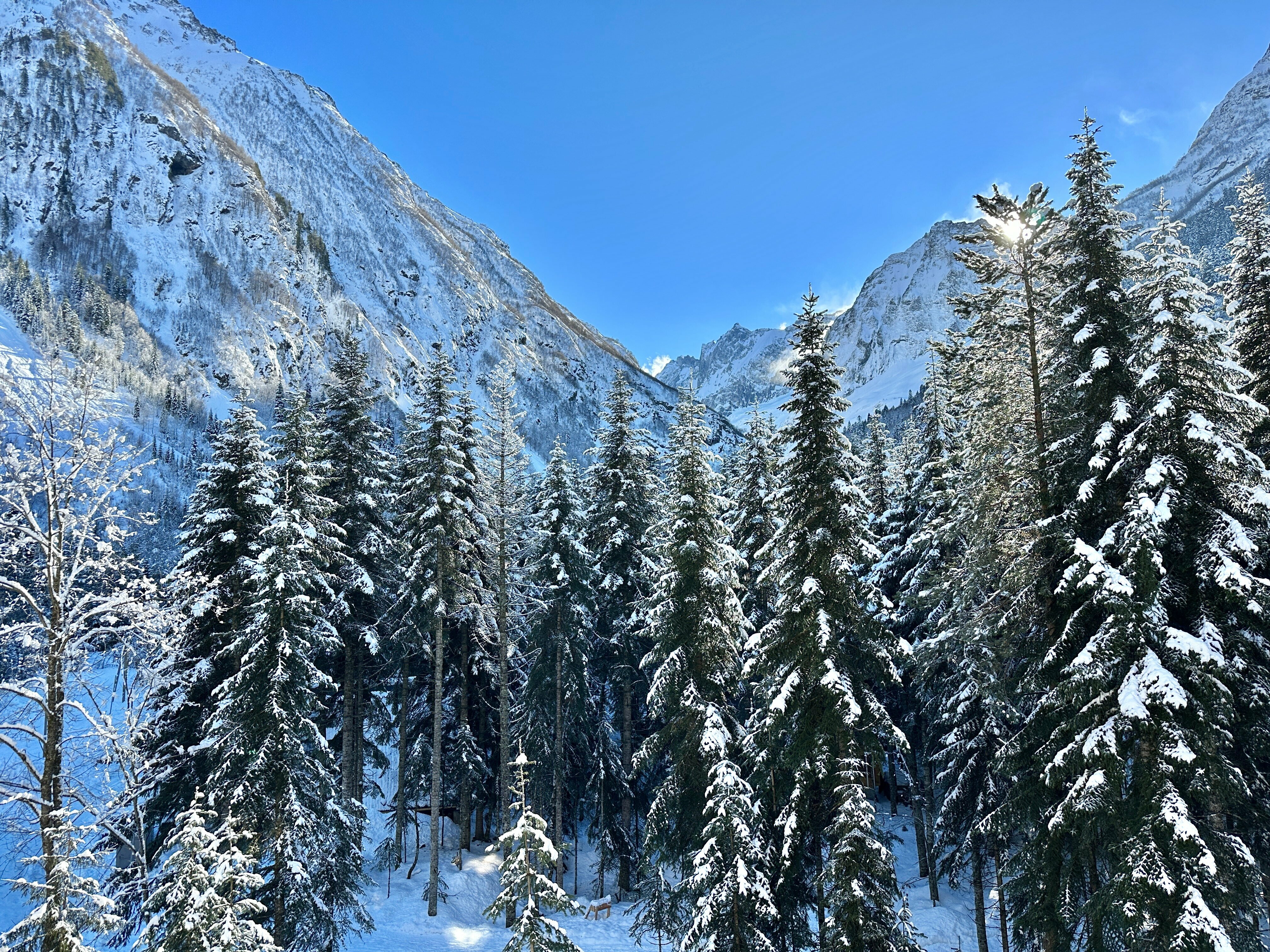 Апартаменты с 2 спальнями