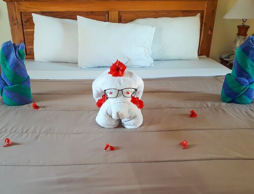 Бунгало «Делюкс», вид на сад в Gili Buana Hostel & Backpackers