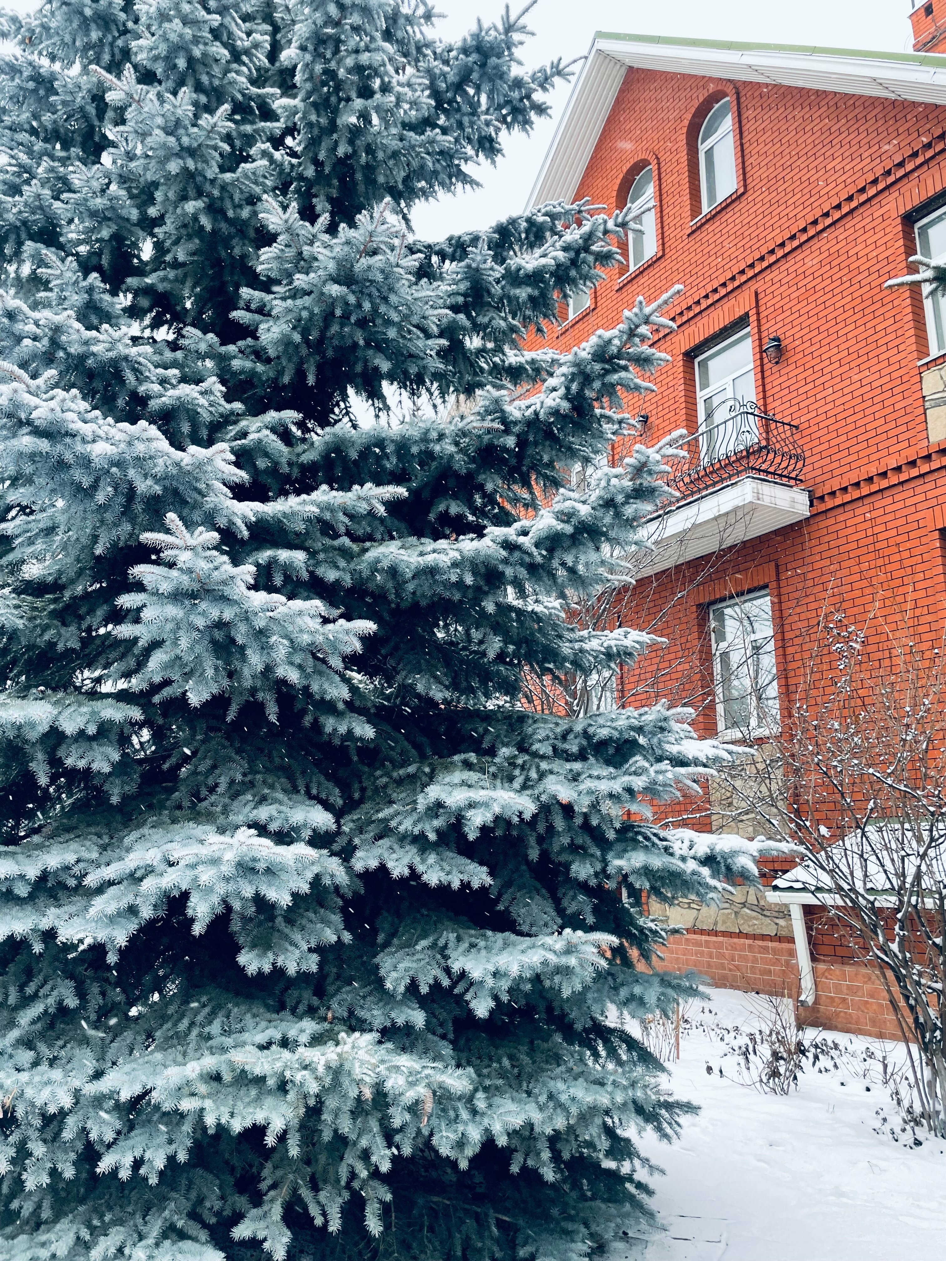 Одноместный номер