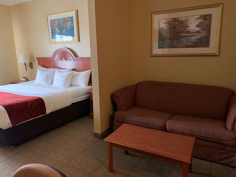 Suite, 1 King Bed, Non Smoking, Refrigerator & Microwave (with Sofabed)