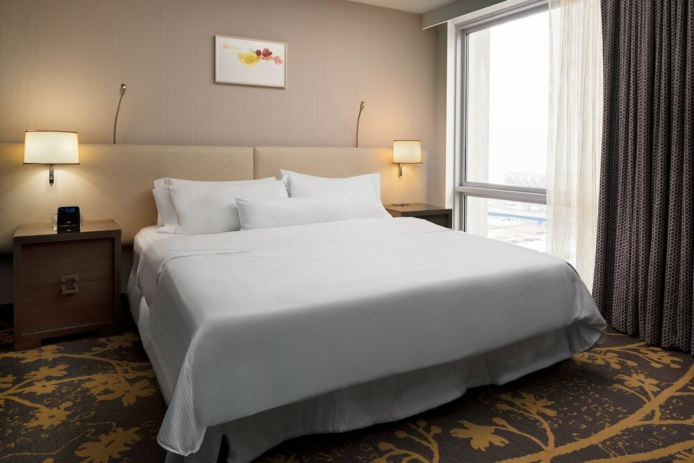 Suite, 1 King Bed with Sofa bed, City View