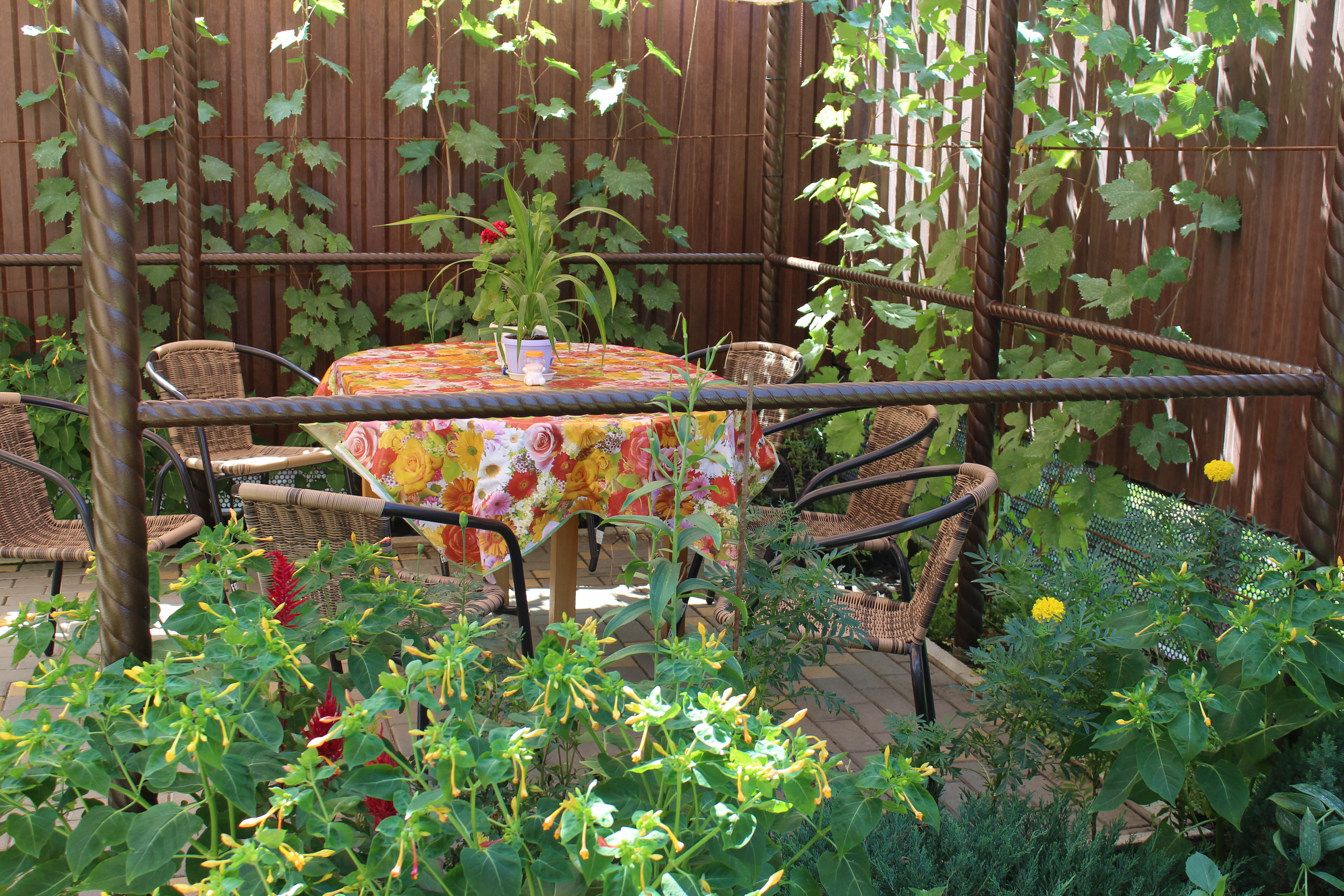 Двухместный номер с 2 отдельными кроватями и террасой