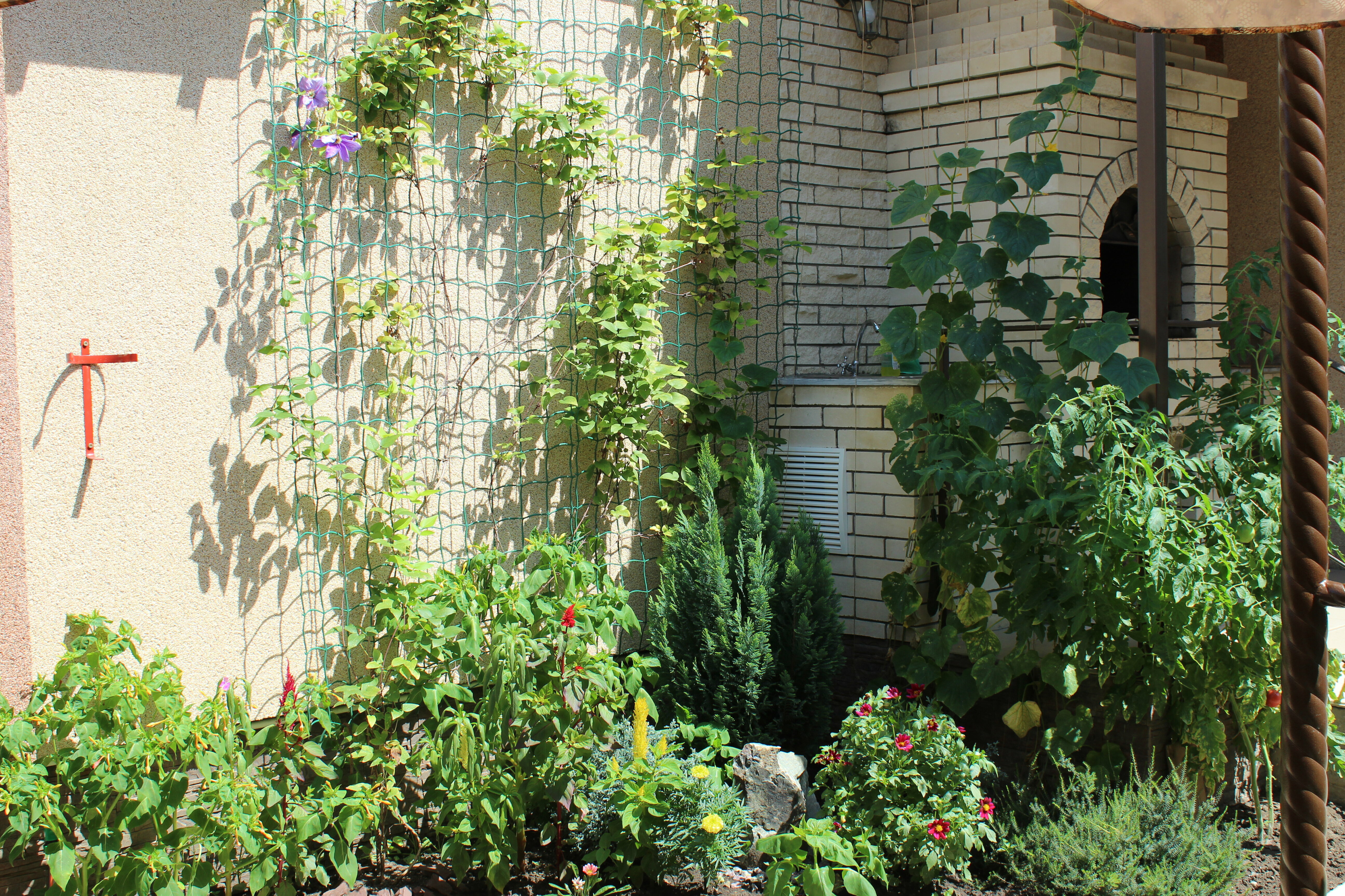 Двухместный номер с 2 отдельными кроватями и террасой