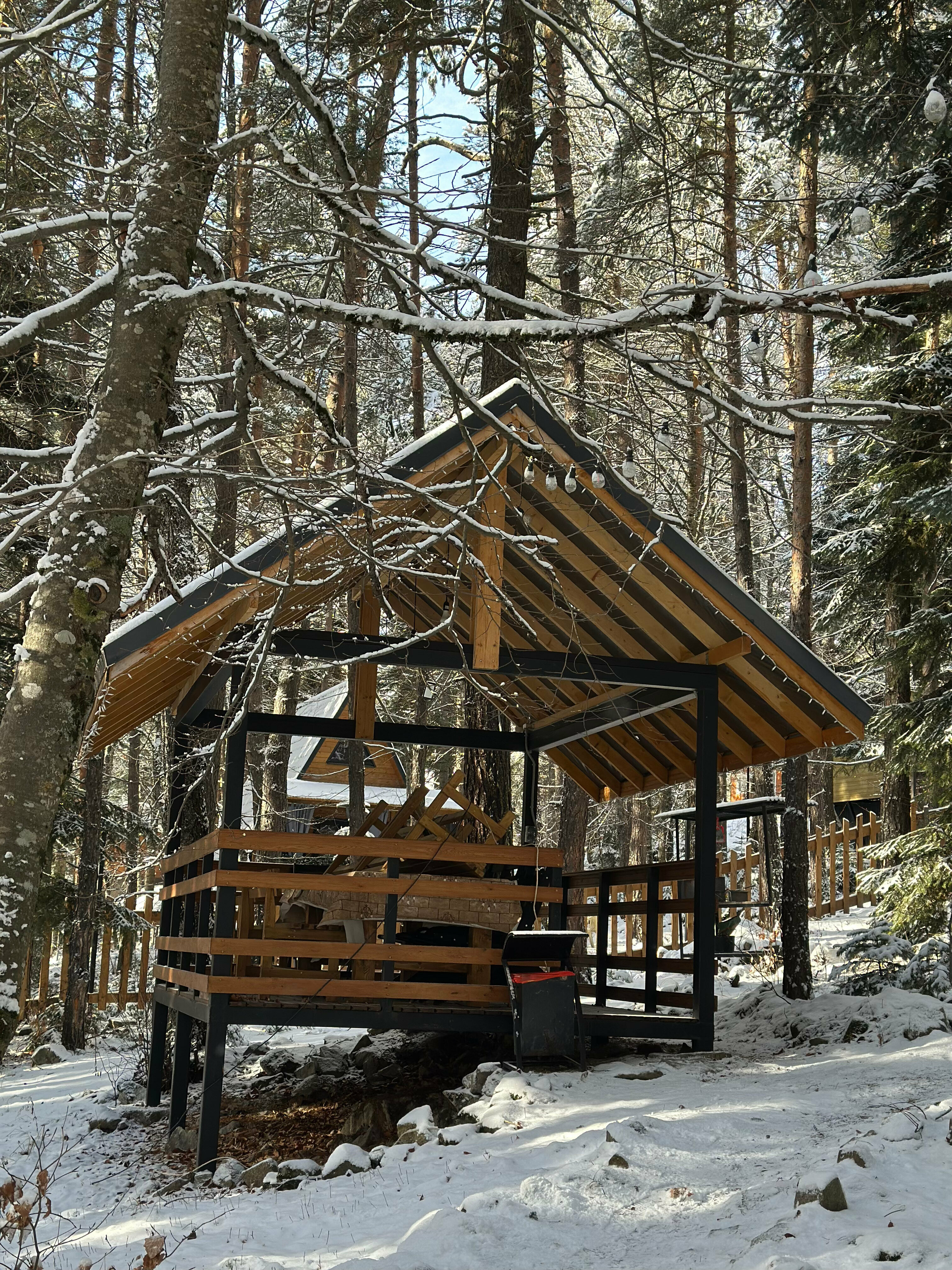 Барнхаус 2 c видом на хвойный лес