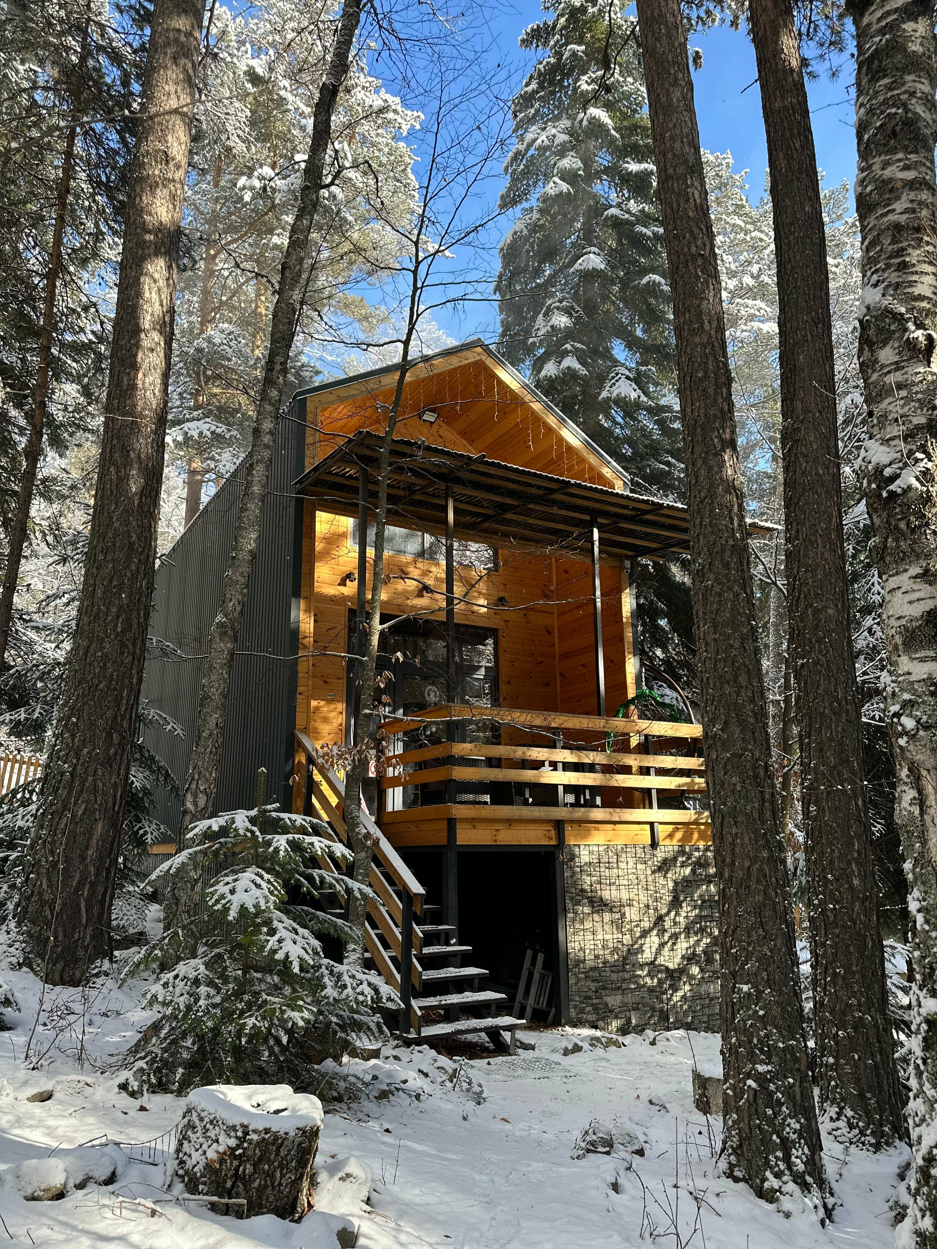 Барнхаус 2 c видом на хвойный лес