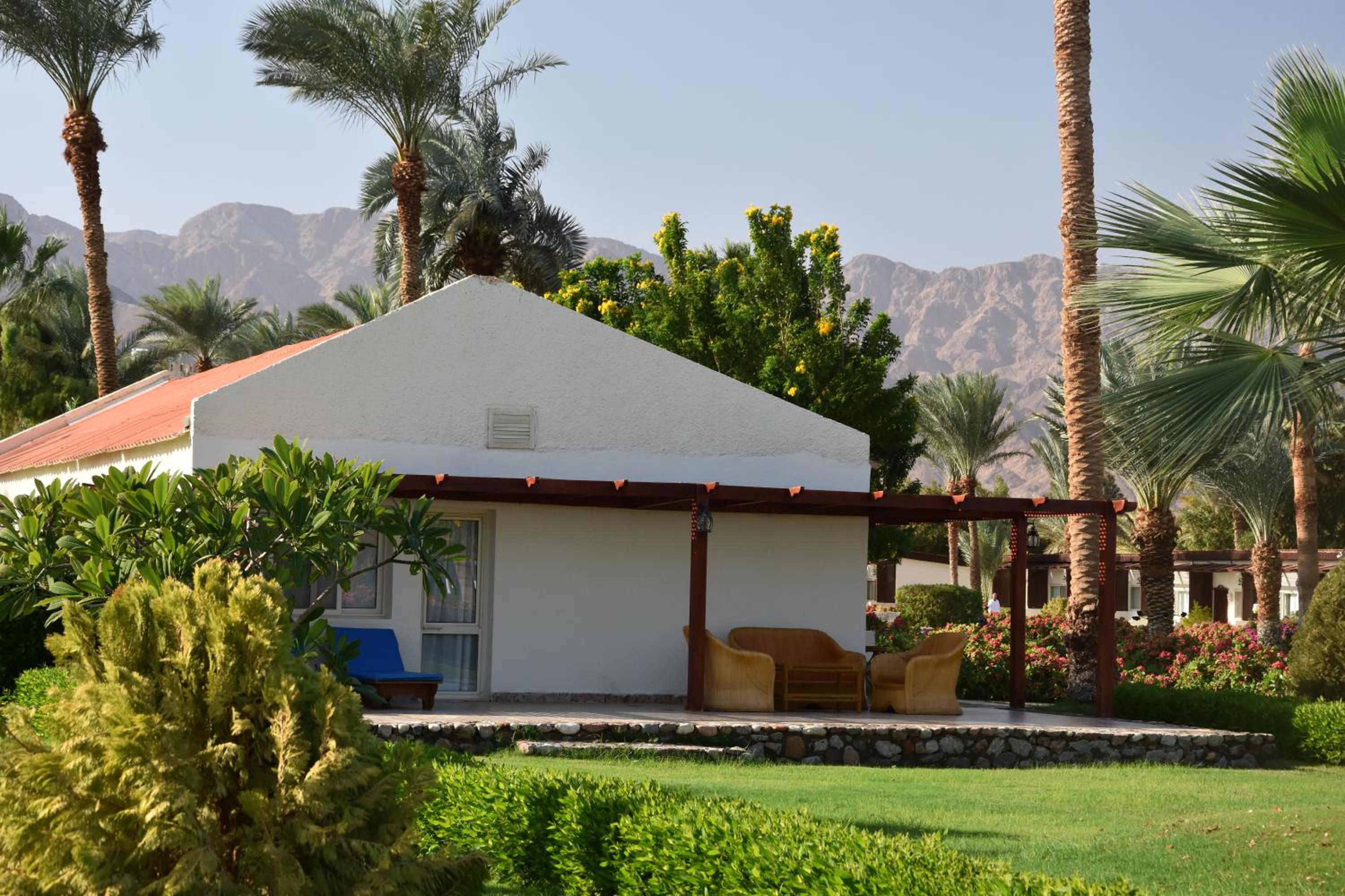 Terrace Suite 