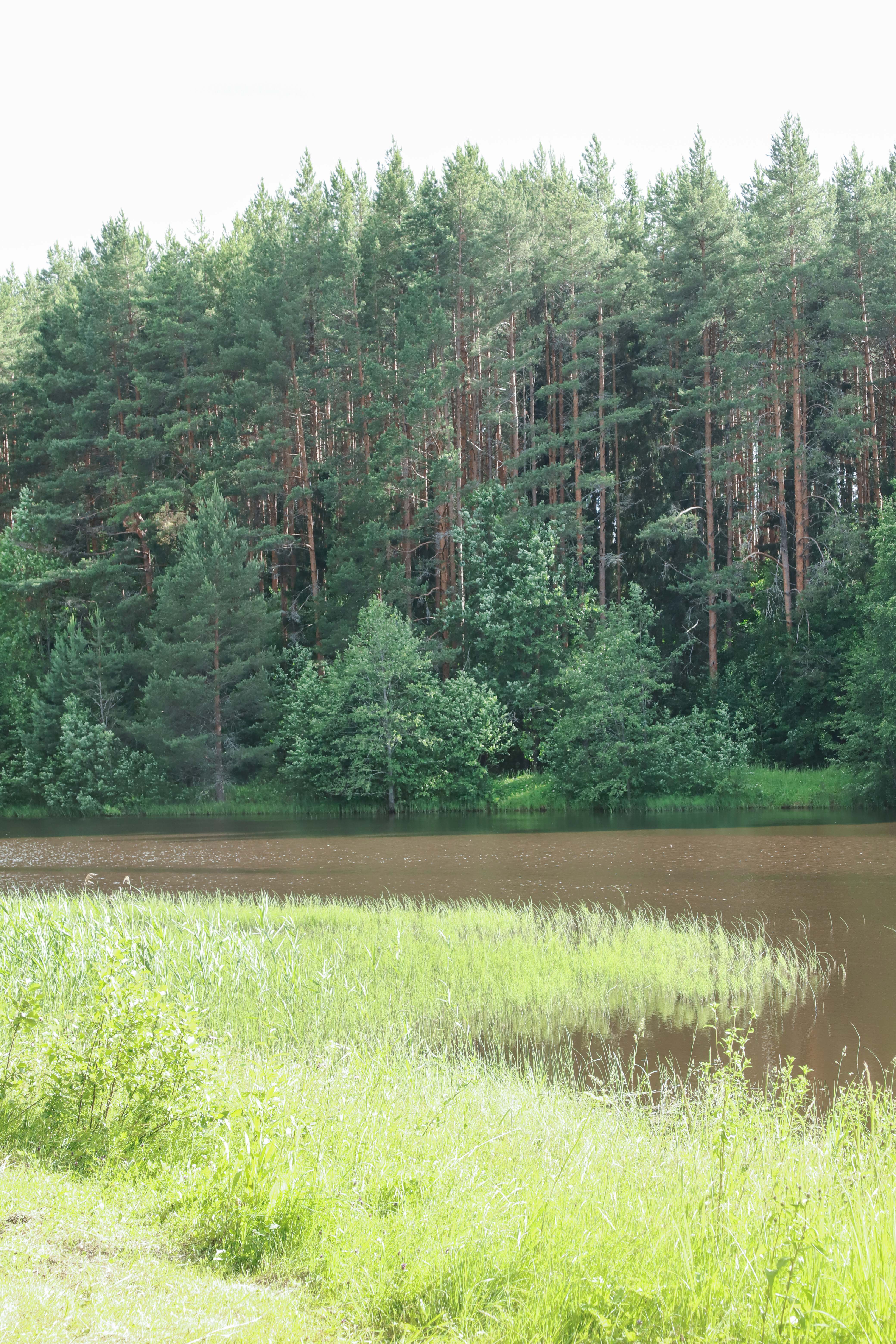 Трехместный номер