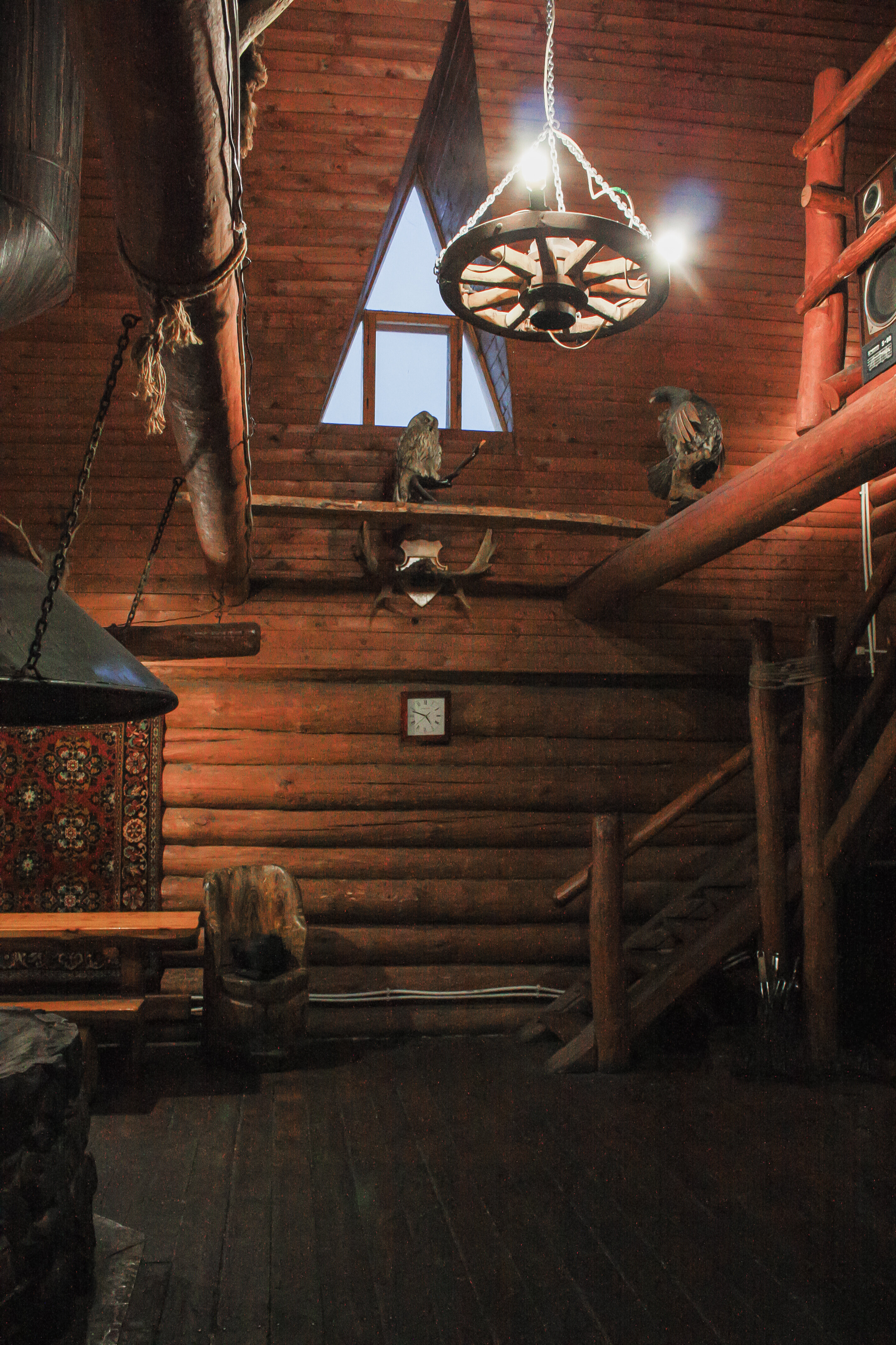 Дом с видом на лес