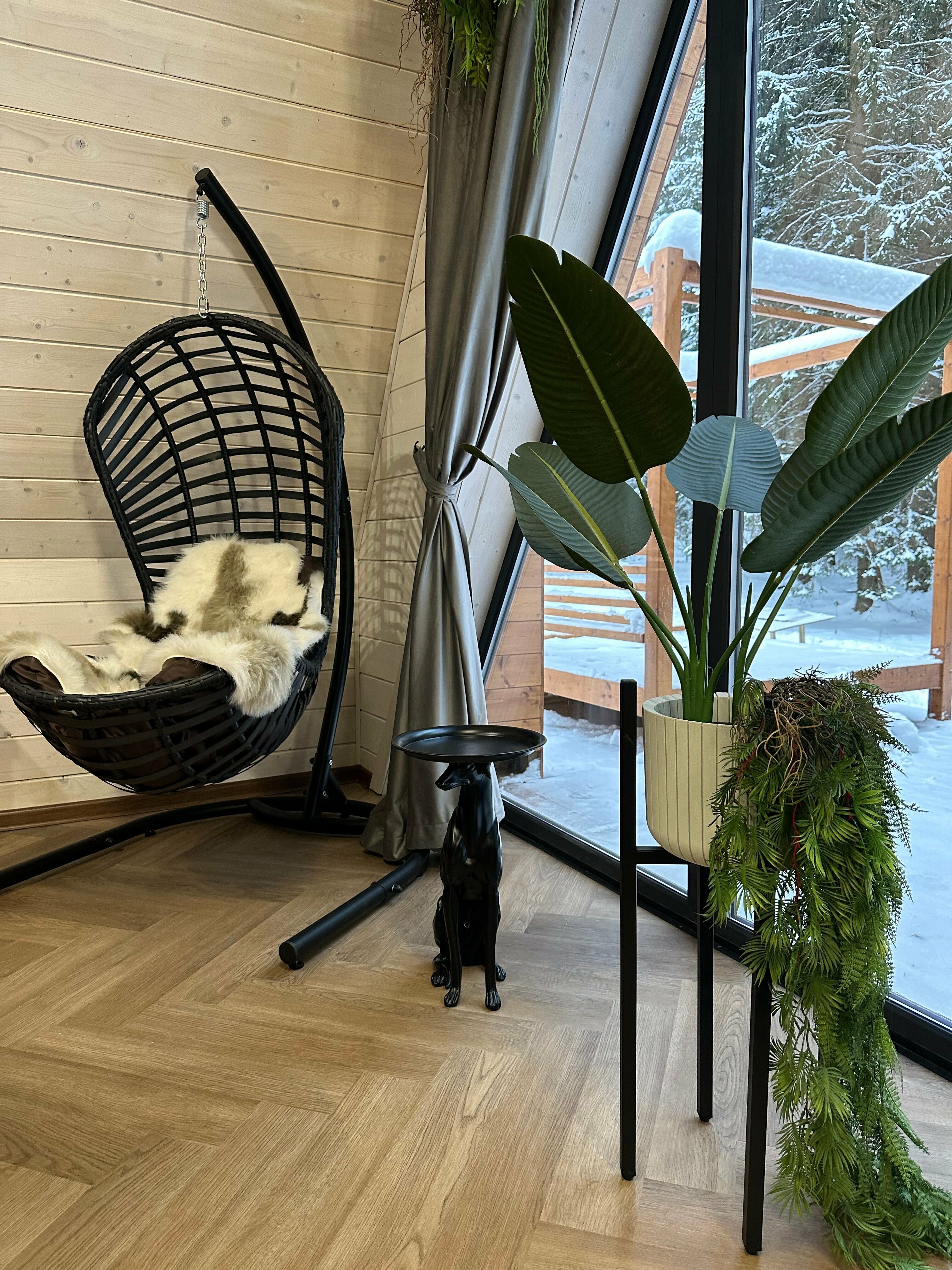 Дом с видом на лес