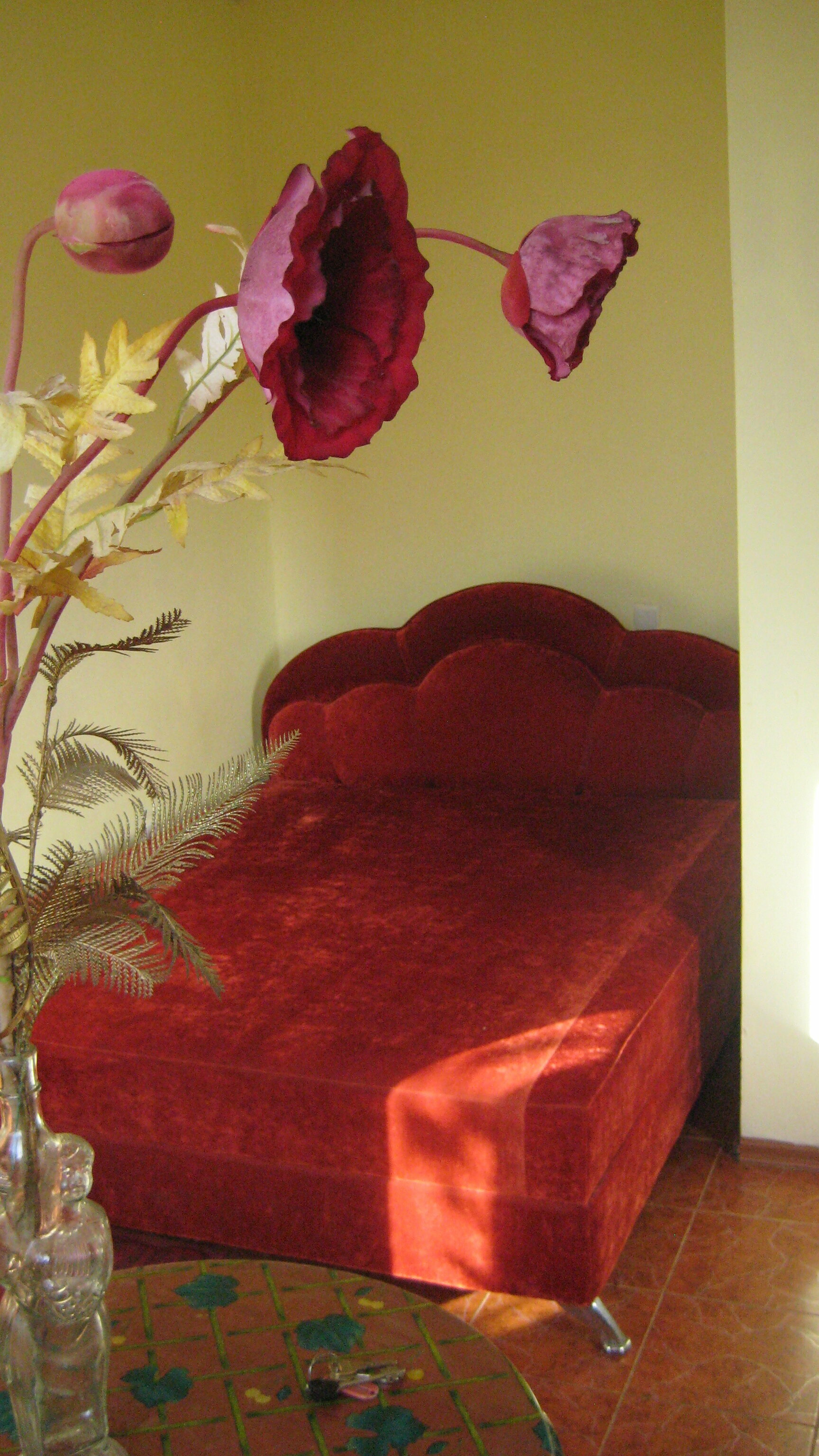 Двухместный номер с 1 кроватью и видом на парк