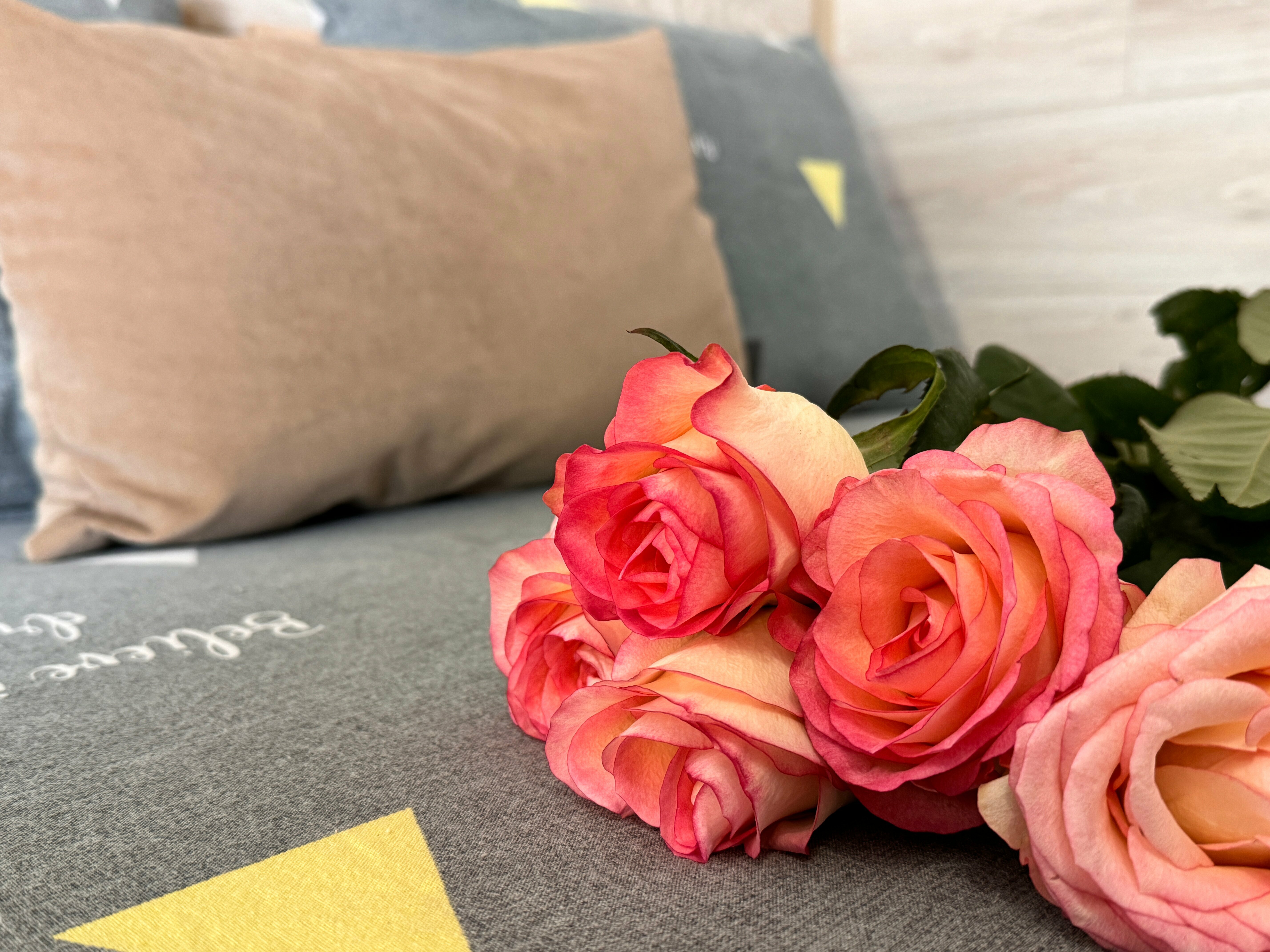 Стандартный двухместный номер с 1 кроватью