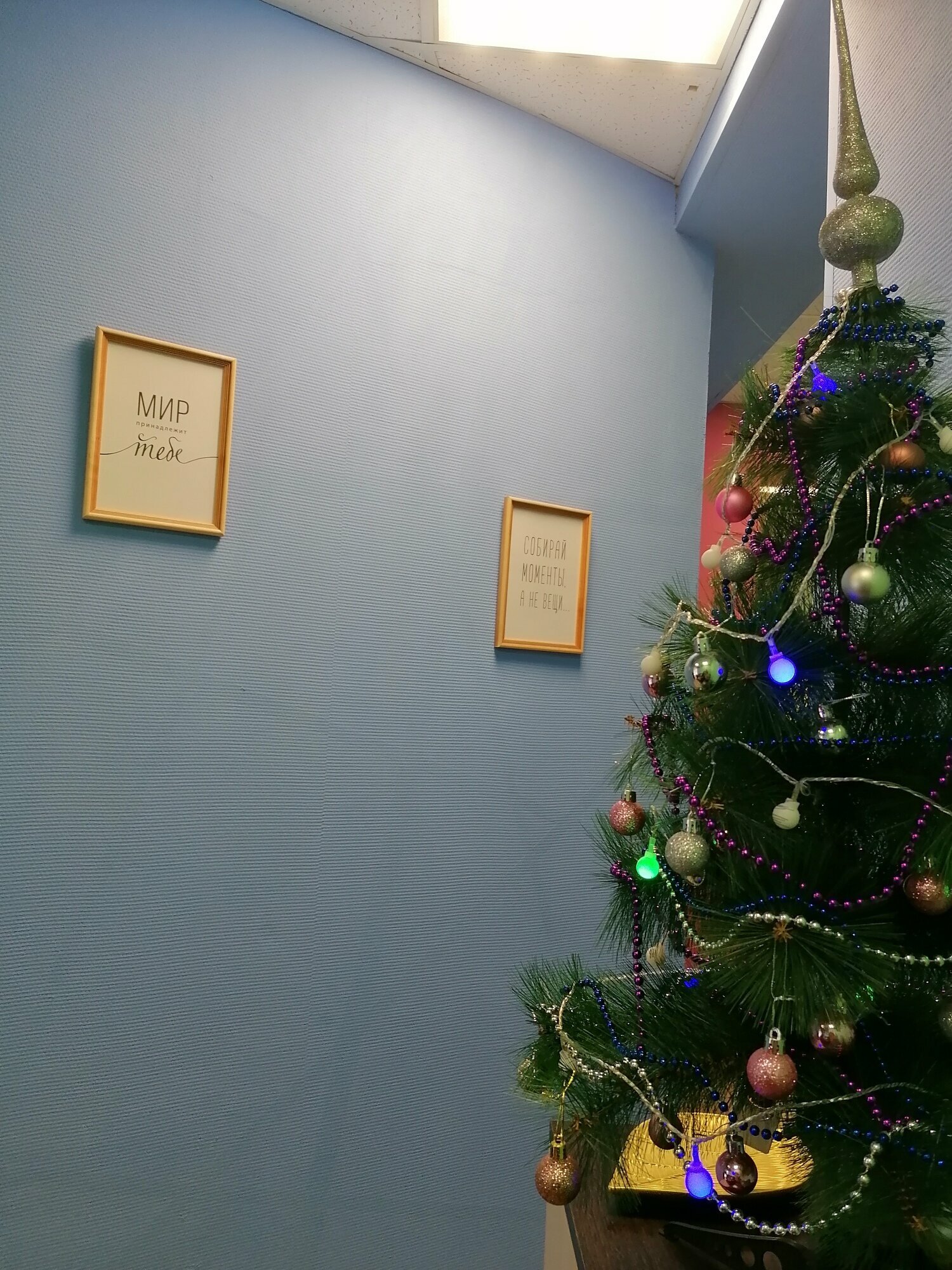 Кровать в общем 4-местном номере для мужчин и женщин