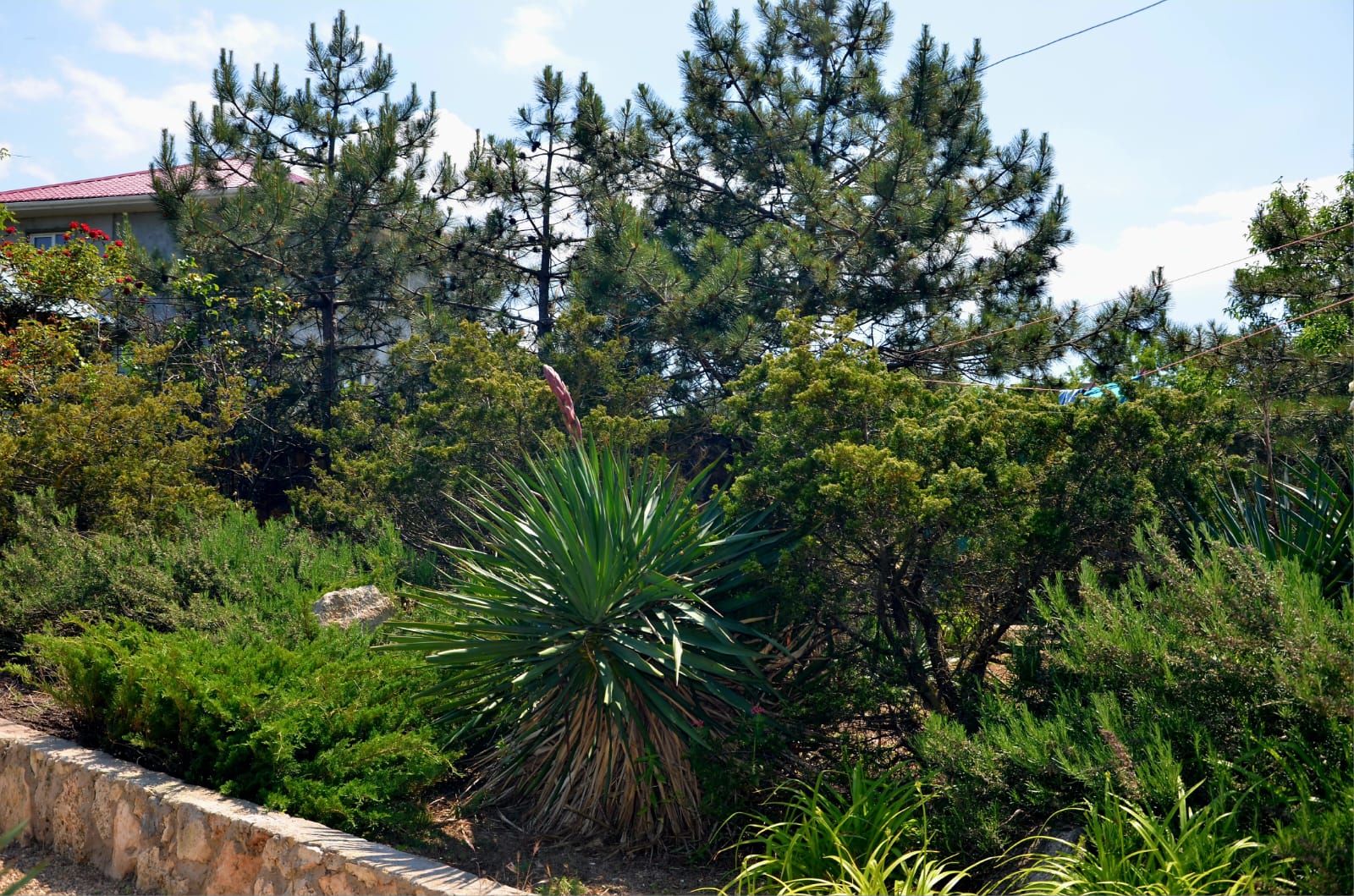 Классический четырехместный номер