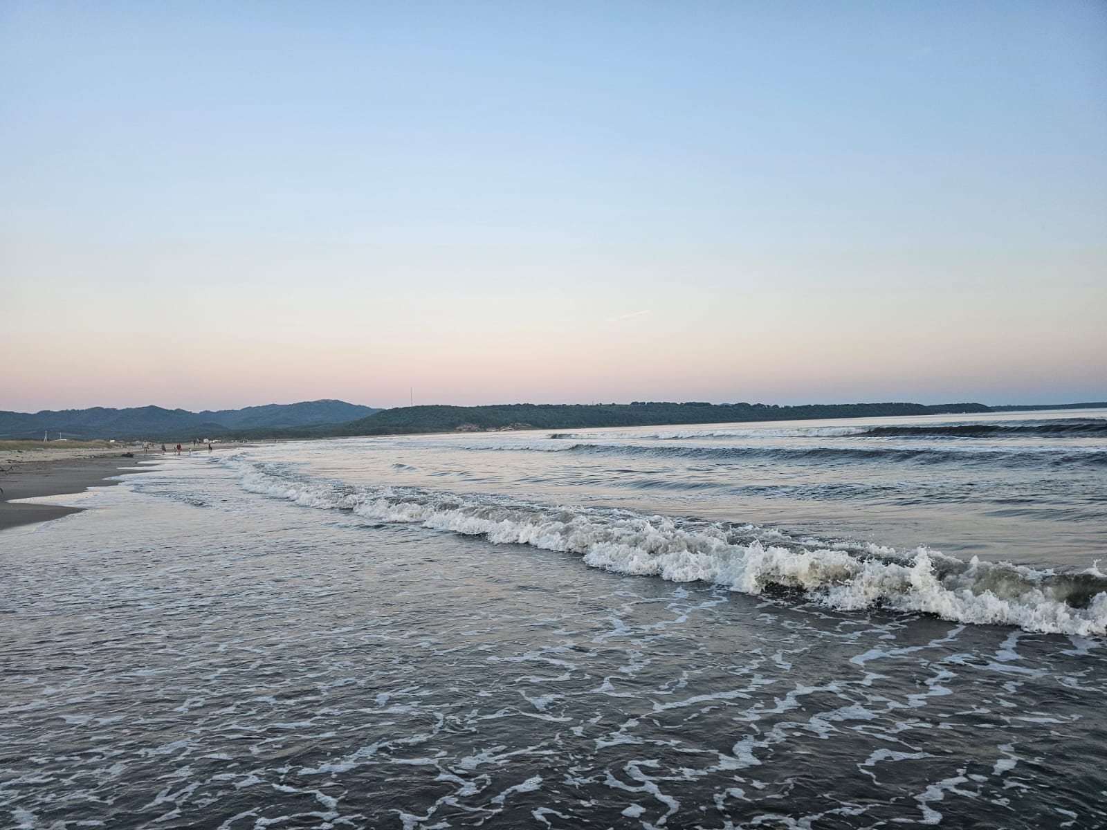 Дом с видом на лес