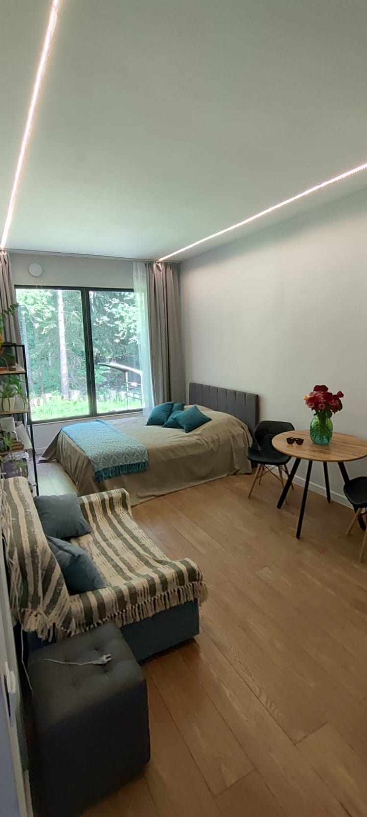 Двухместный номер с 1 кроватью и видом на парк