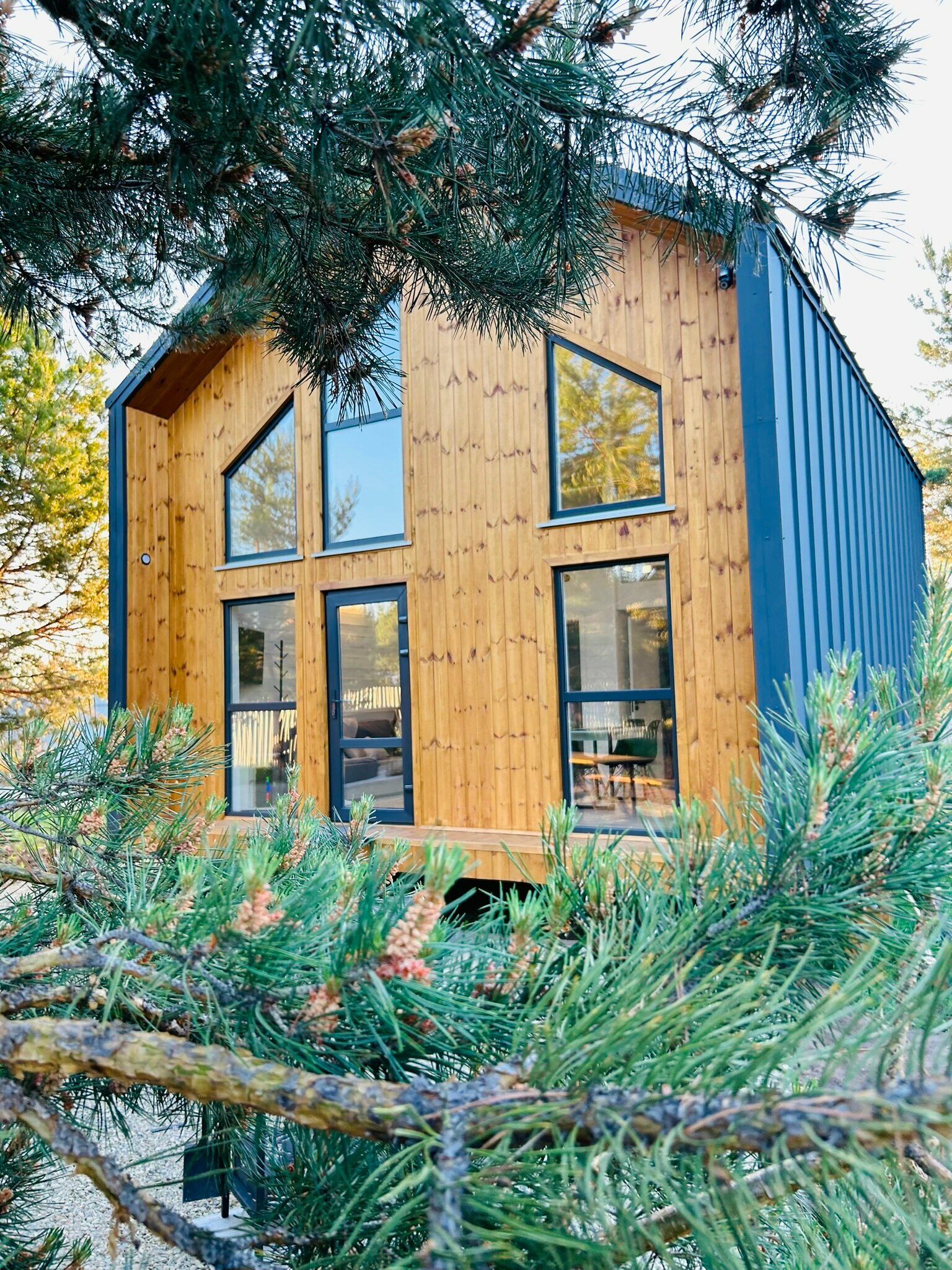 Дом с видом на лес