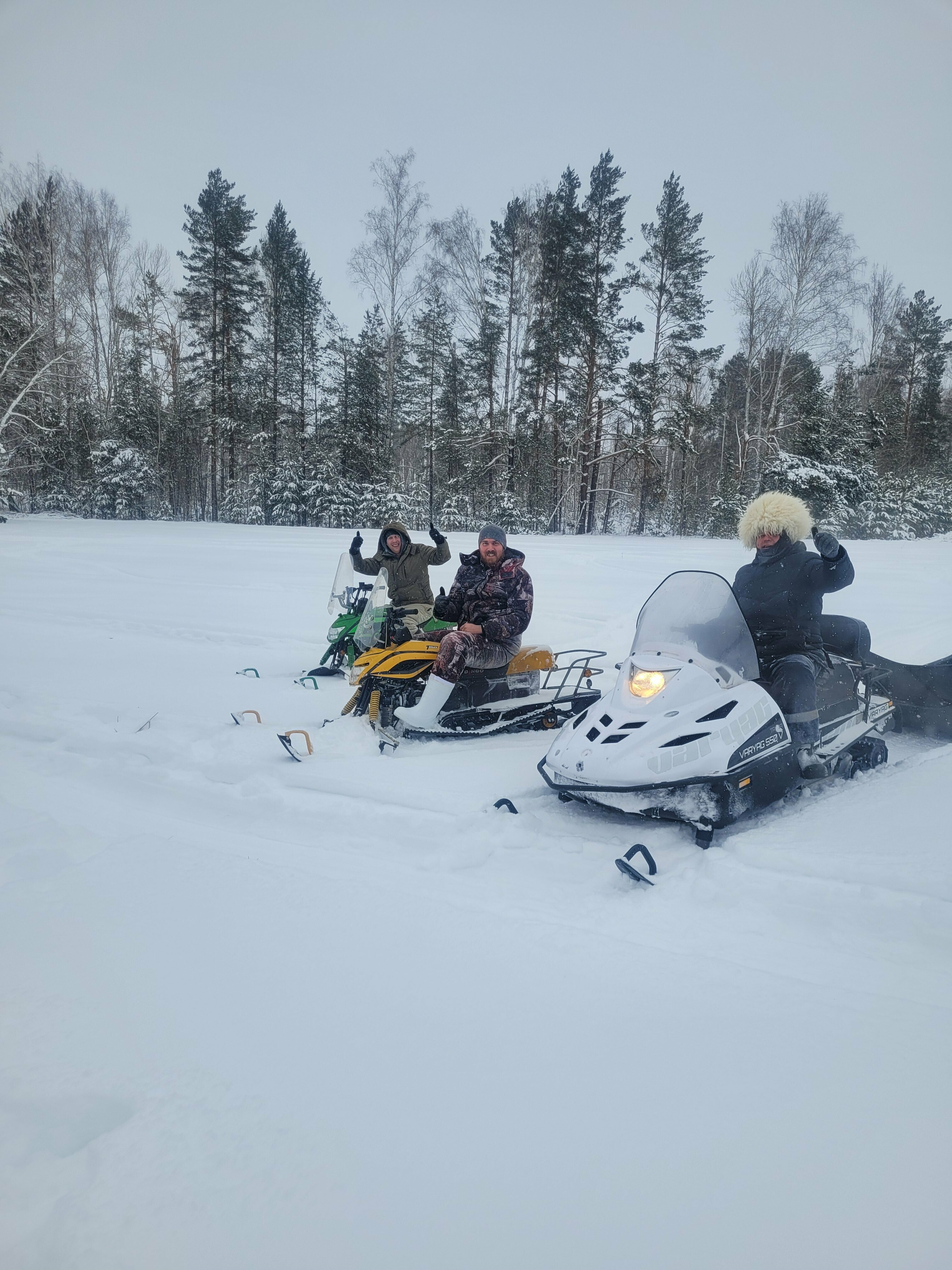 Дом с видом на лес