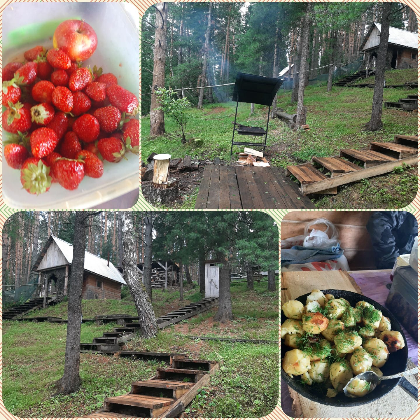 Дом с видом на лес