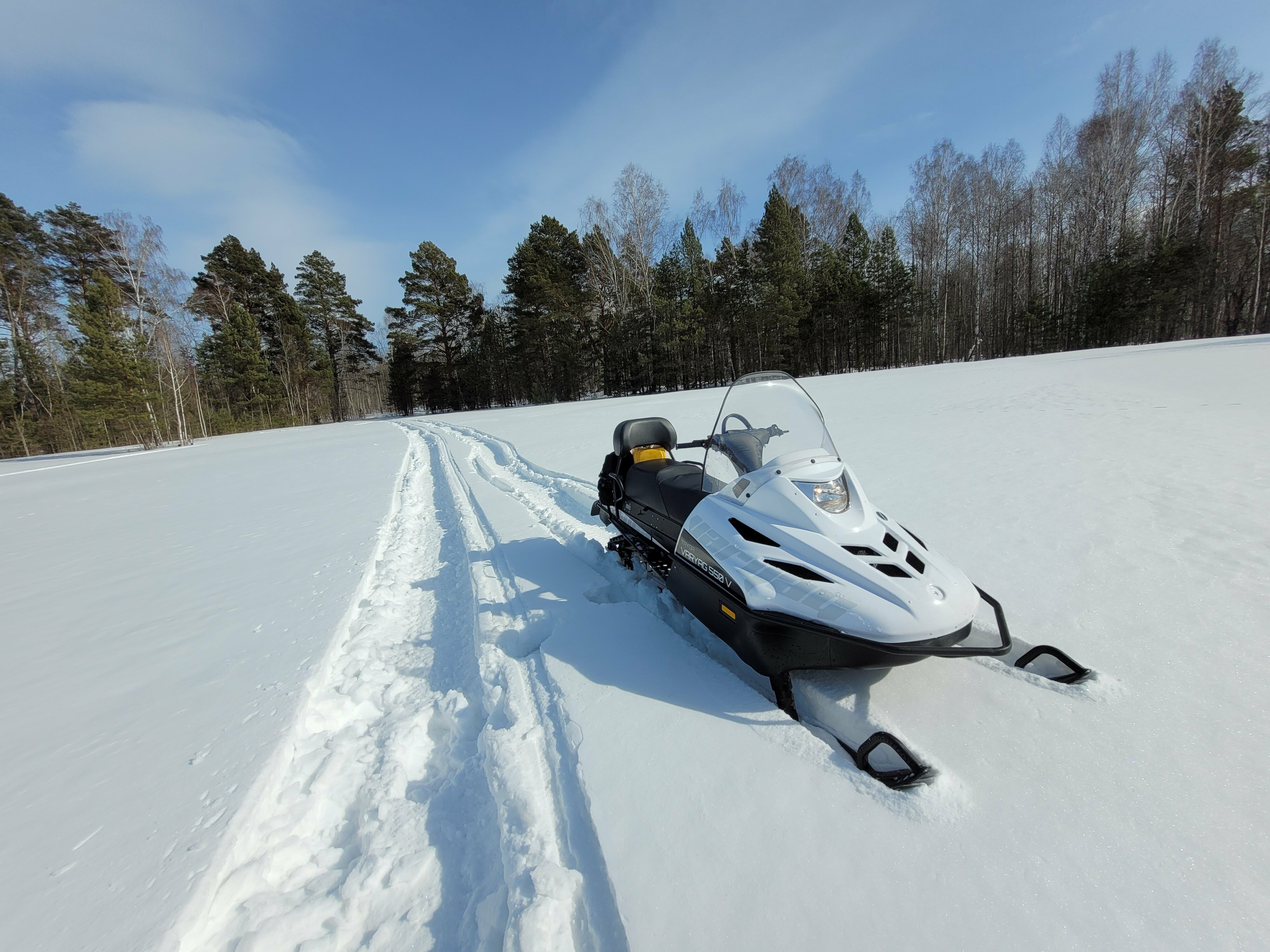 Дом с видом на лес