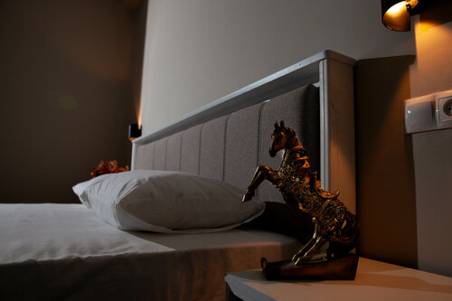 Двухместный номер с 1 кроватью и видом на море