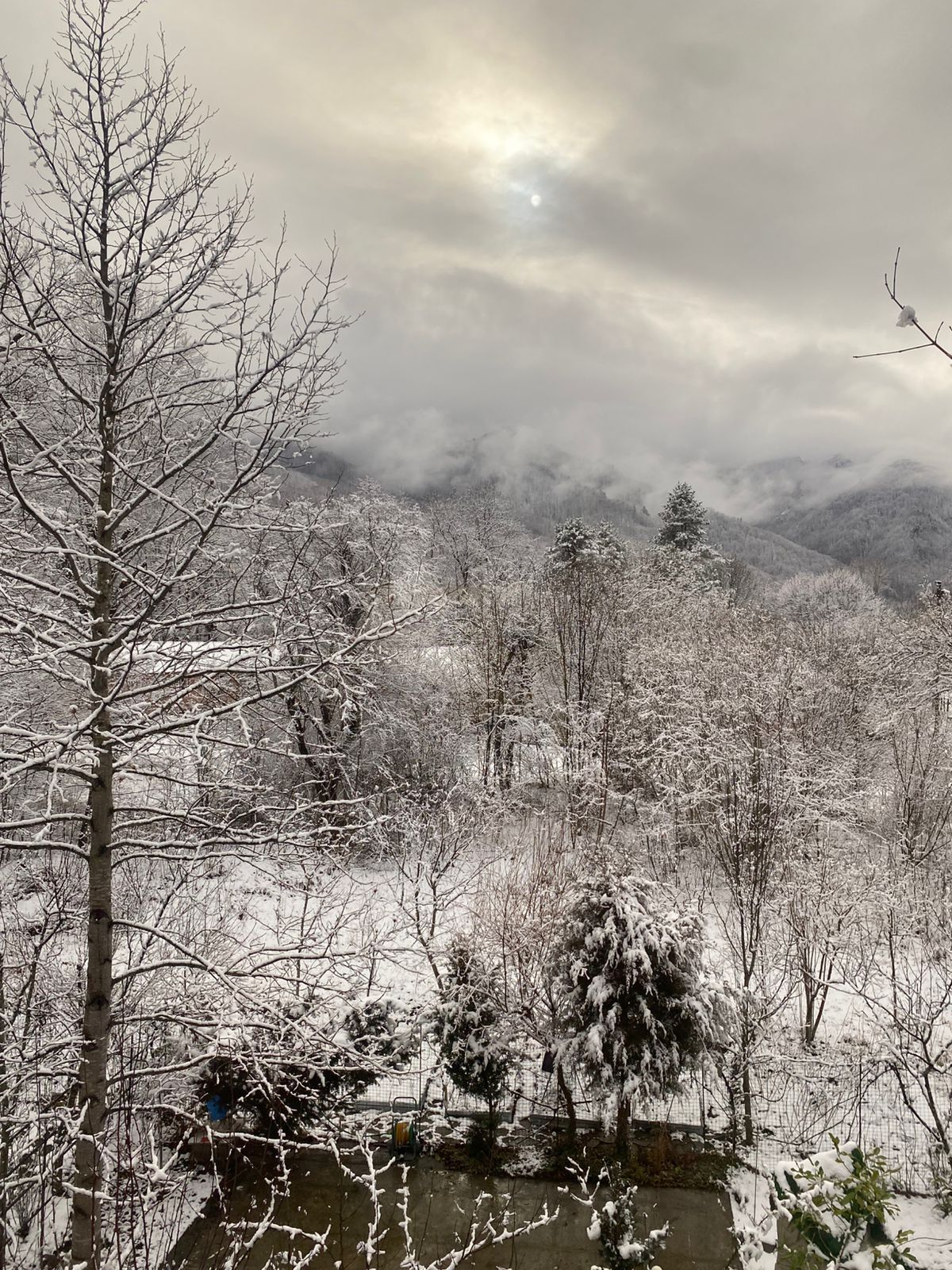 Стандартный двухместный номер с 1 кроватью