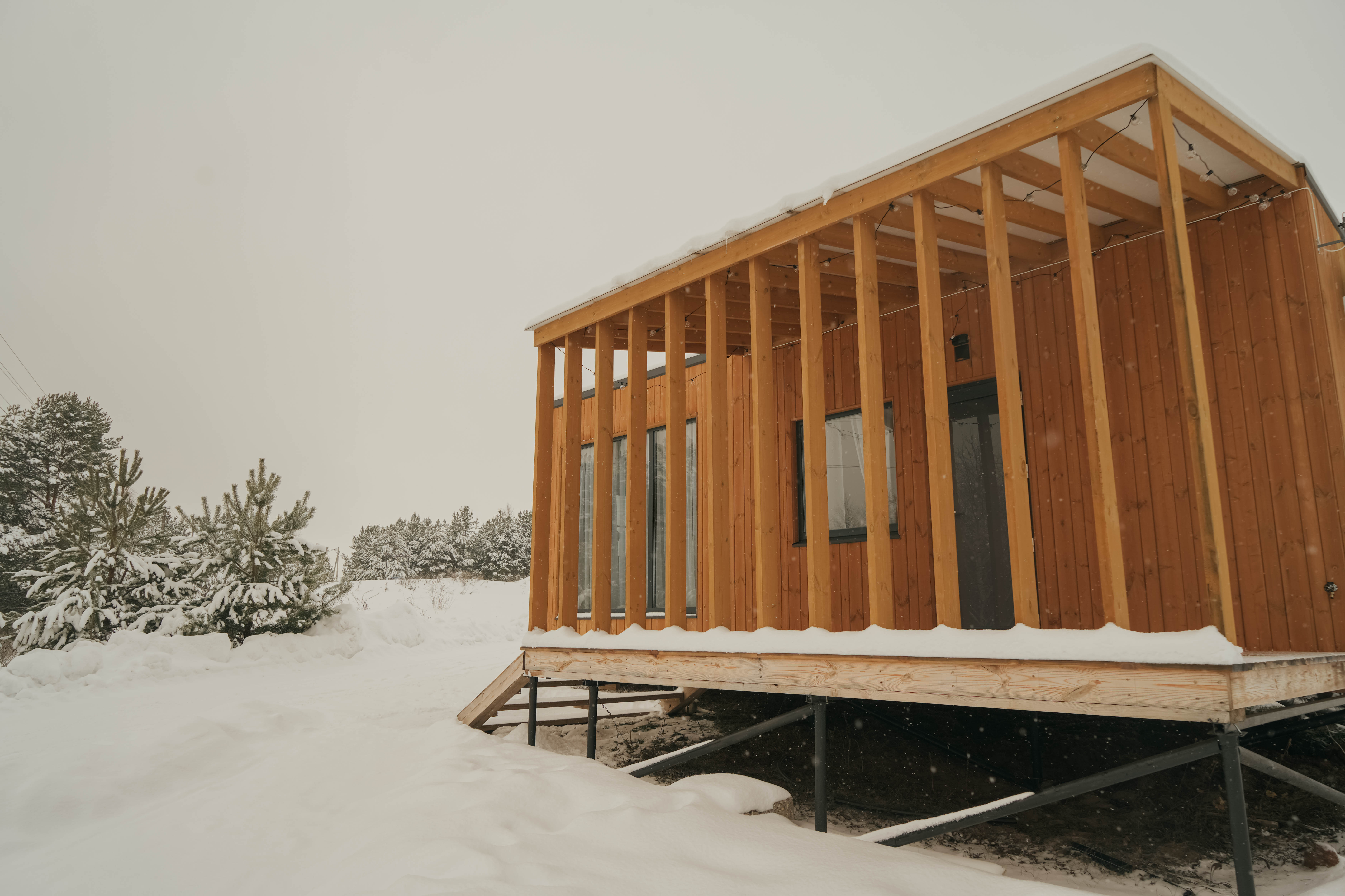 Дом с видом на лес