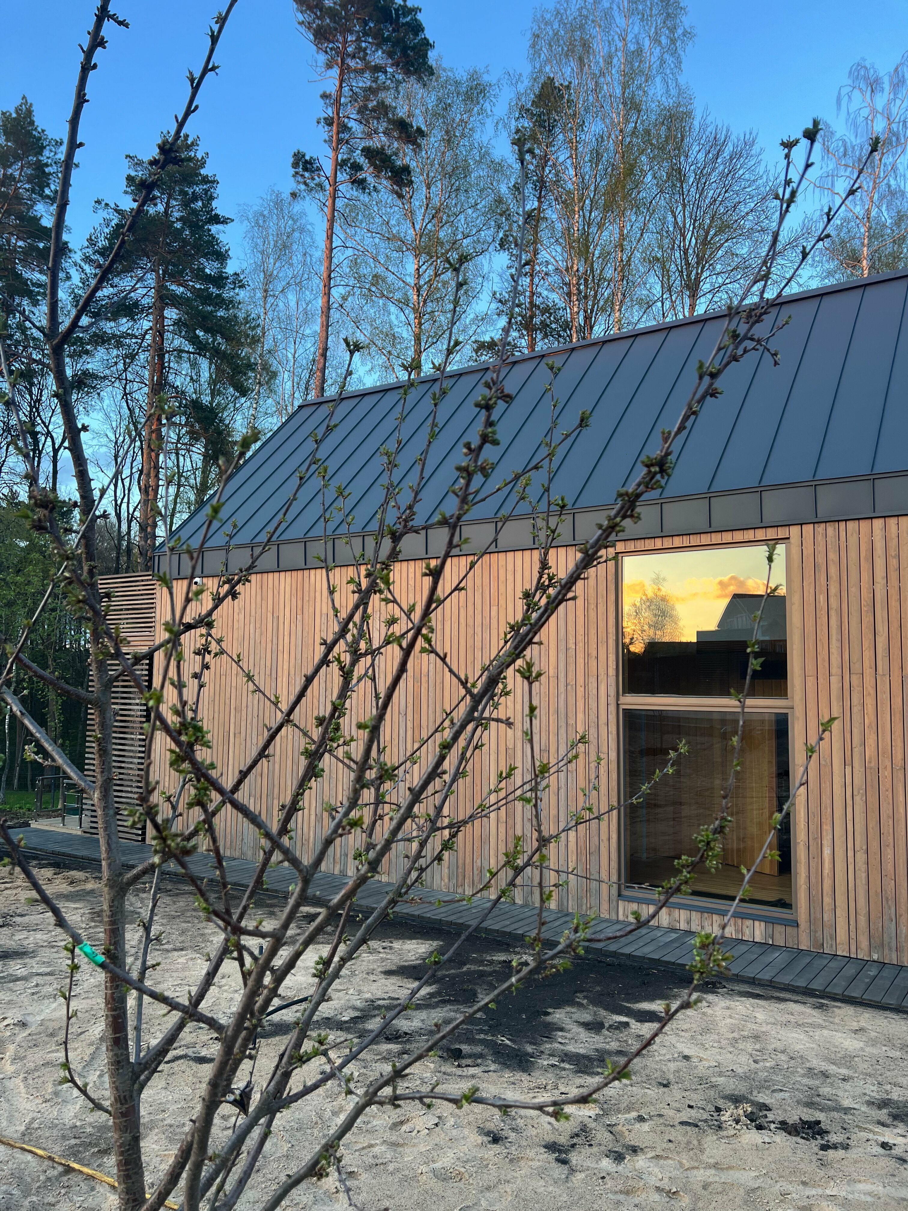 средний номер с кроватью queen size, ванной комнатой с душем, видом на лес и террасой