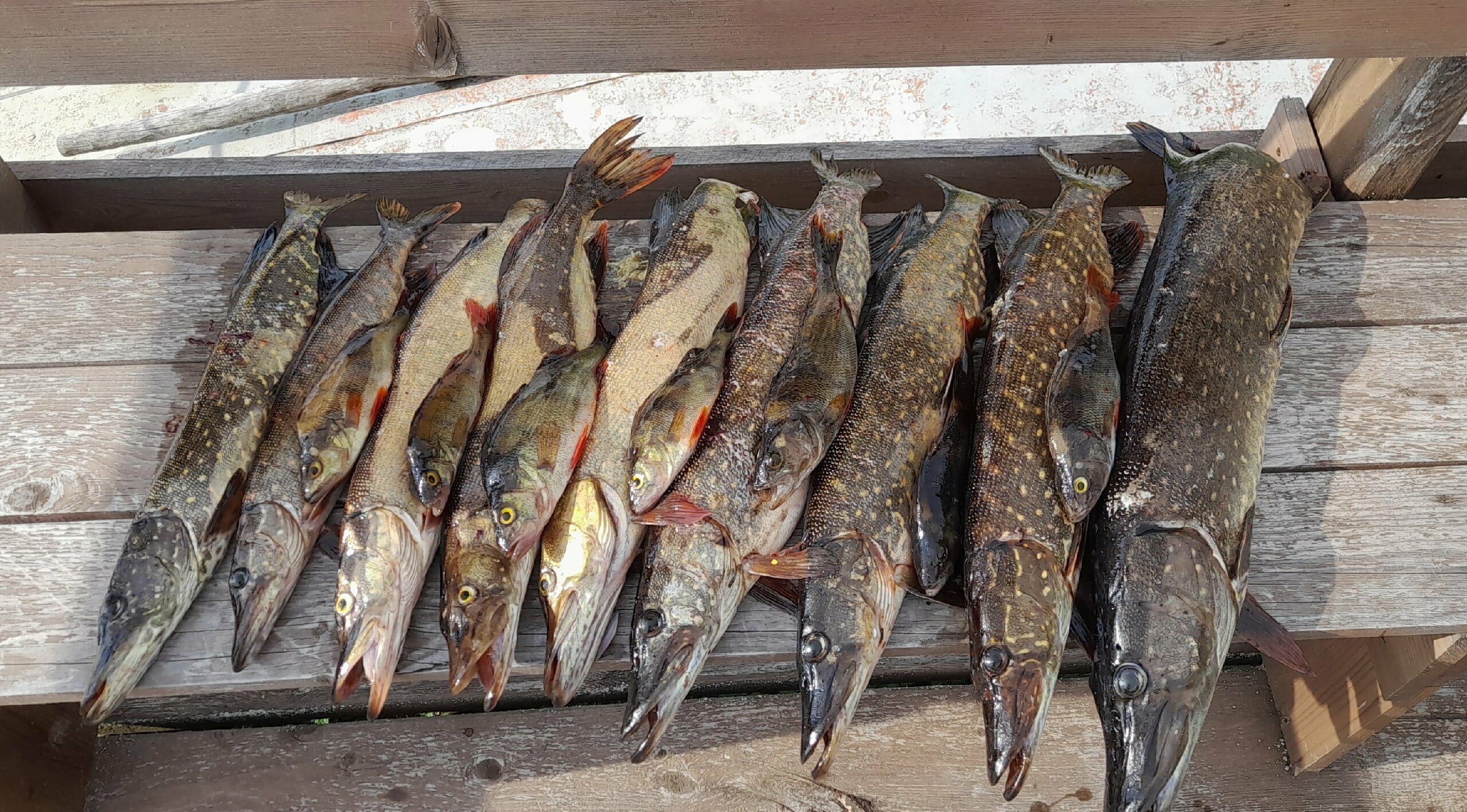 Коттедж с одной спальней, видом на озеро и балконом