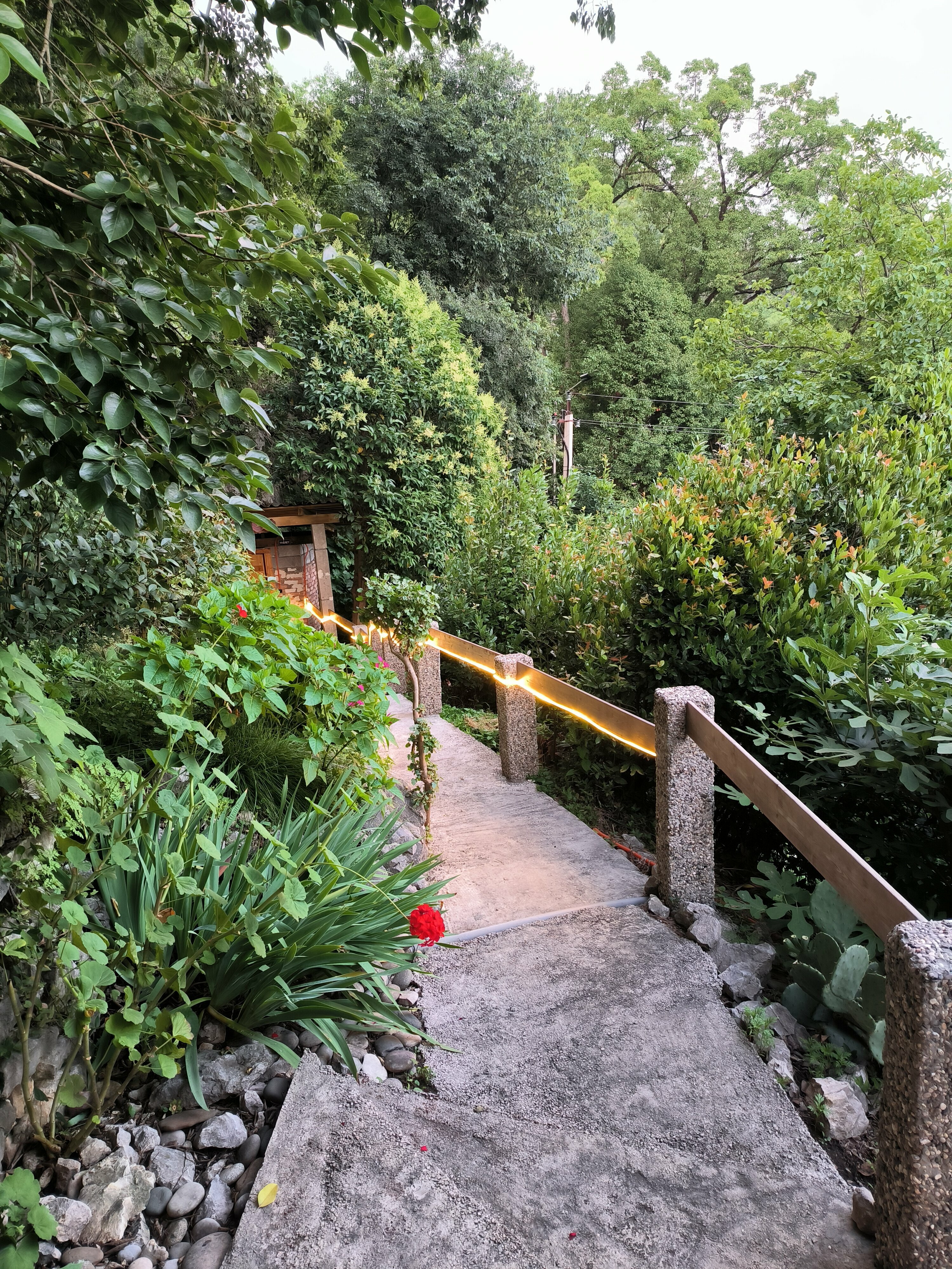 Бюджетный двухместный номер с 2 отдельными кроватями